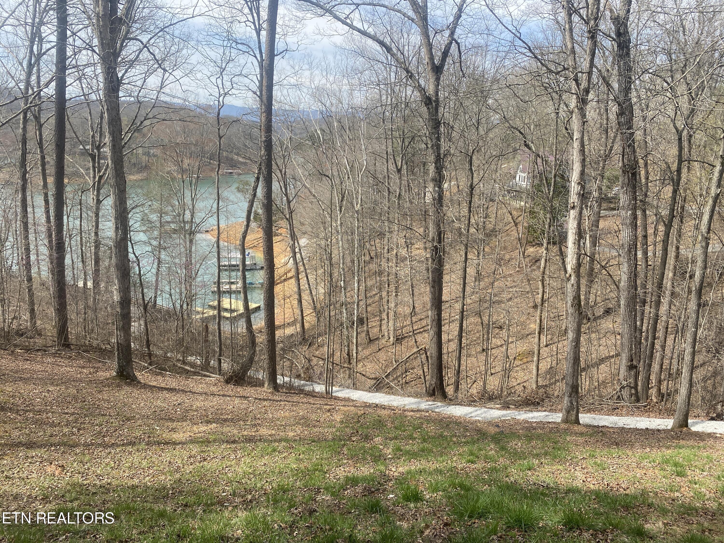 Norris Lake Real Estate - Image# 11