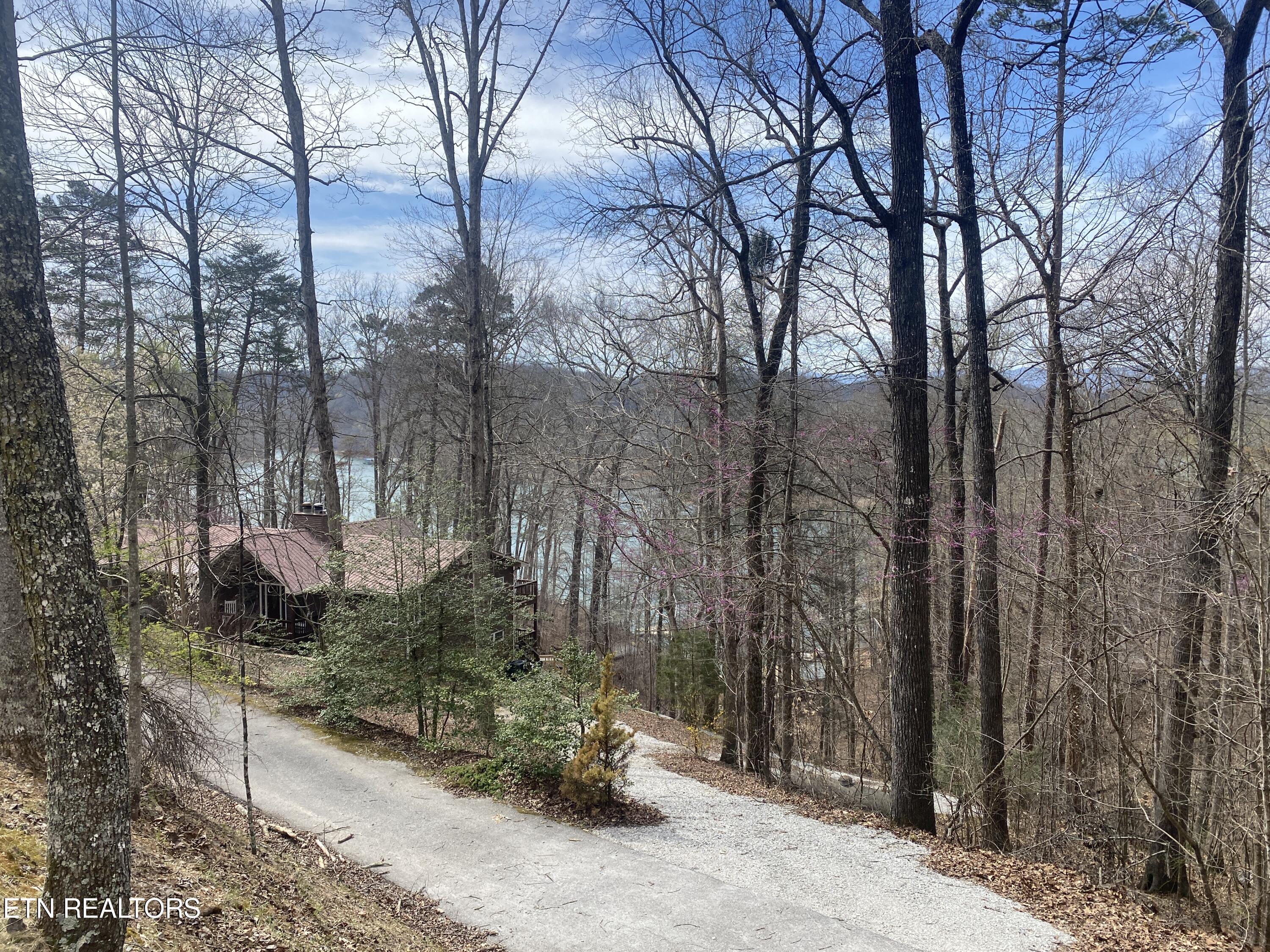 Norris Lake Real Estate - Image# 52