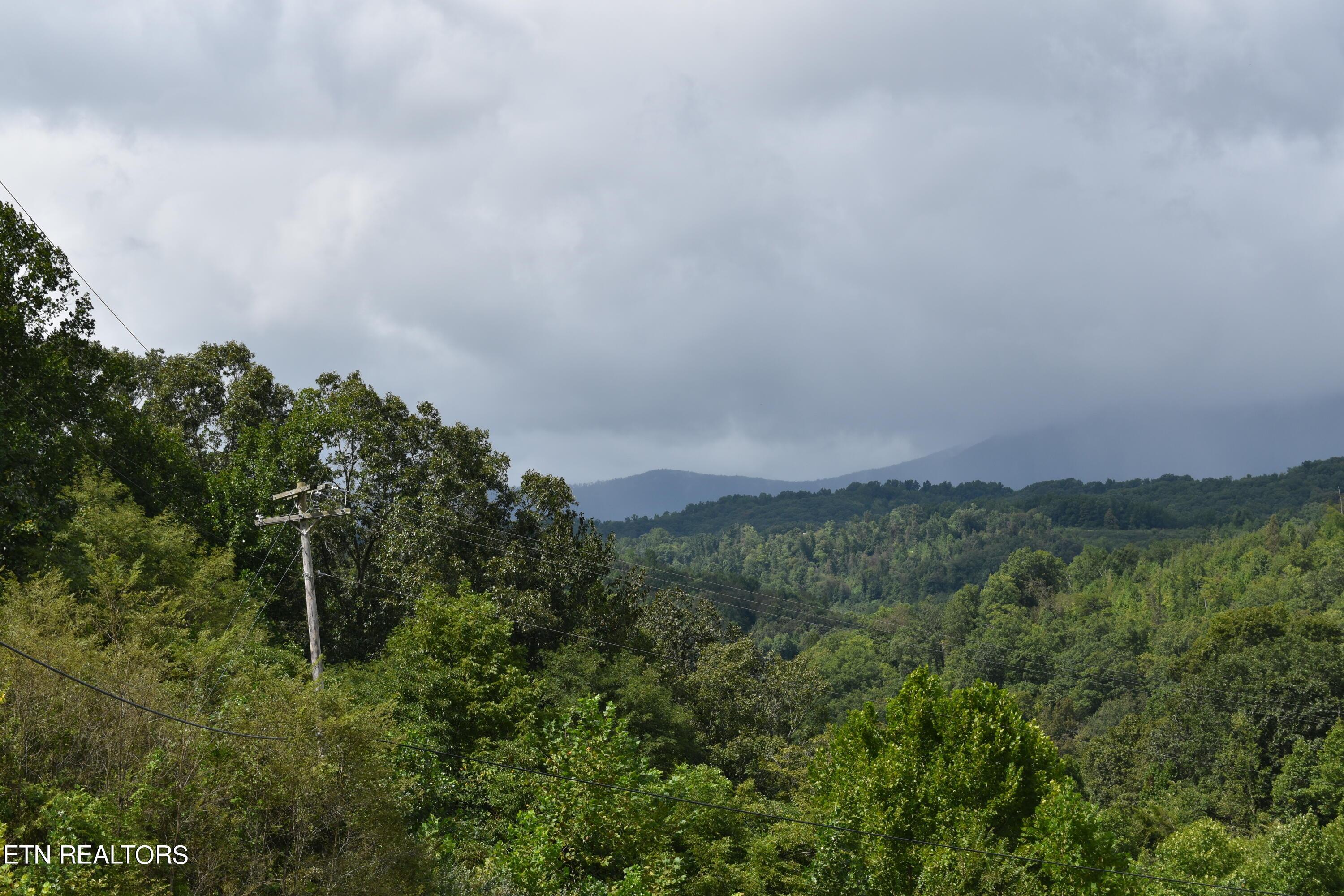 Norris Lake Real Estate - Image# 36