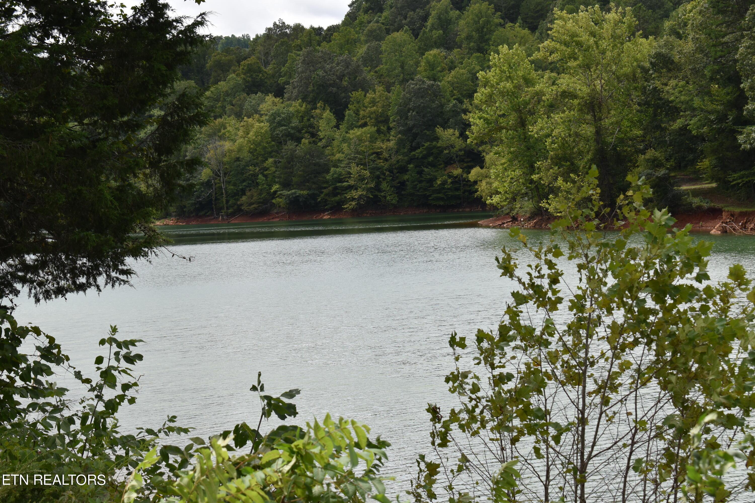 Norris Lake Real Estate - Image# 40