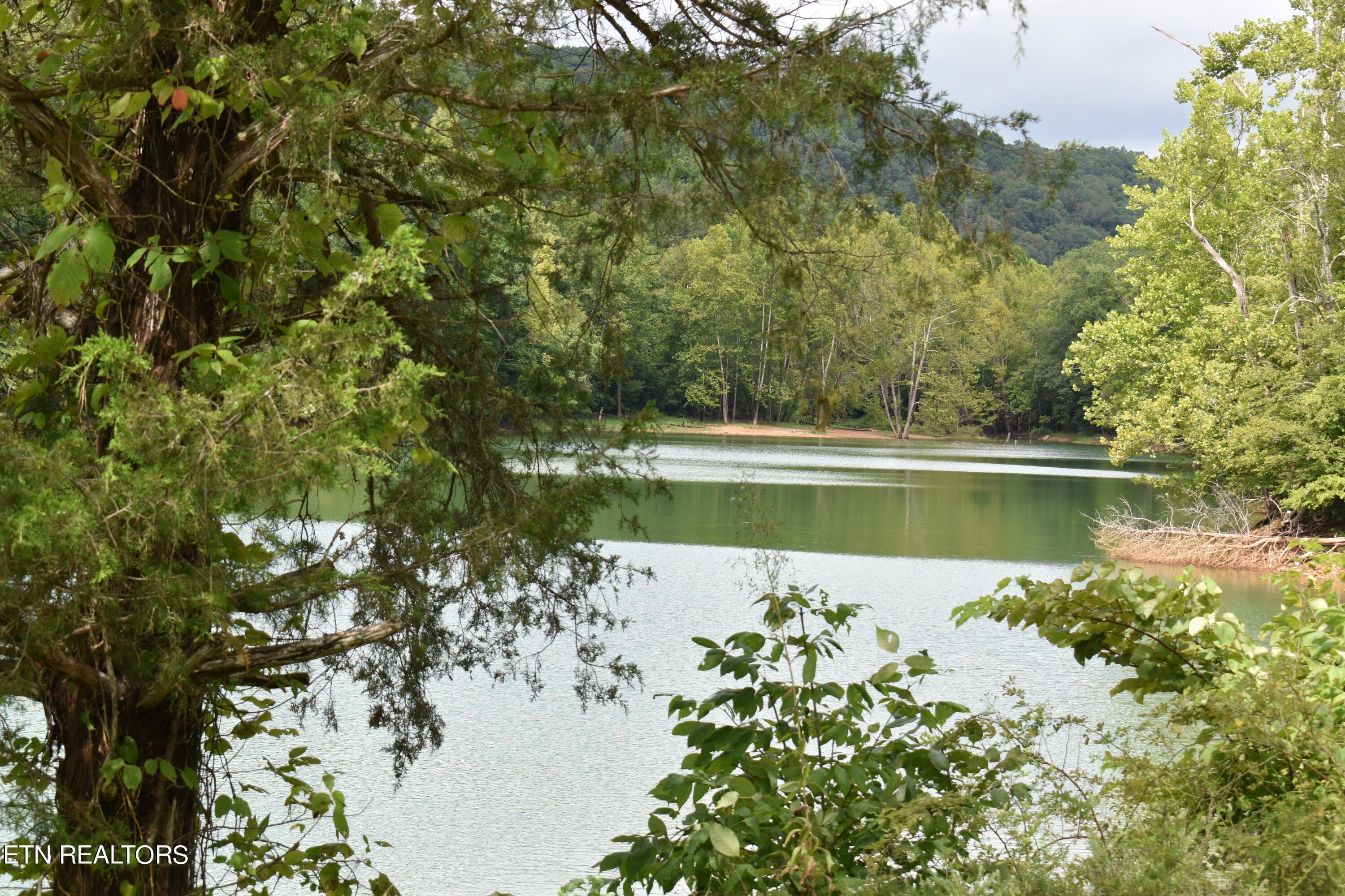 Norris Lake Real Estate - Image# 42