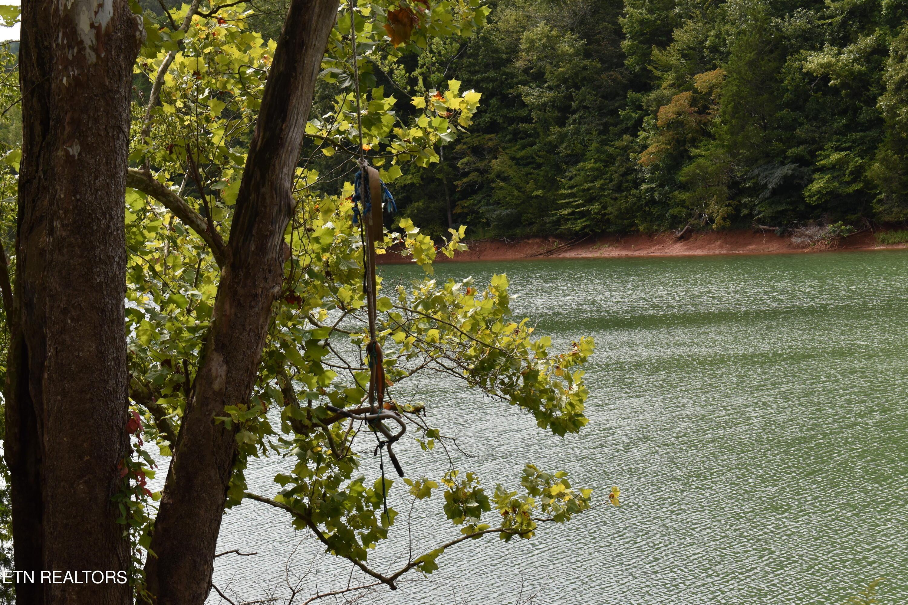 Norris Lake Real Estate - Image# 46