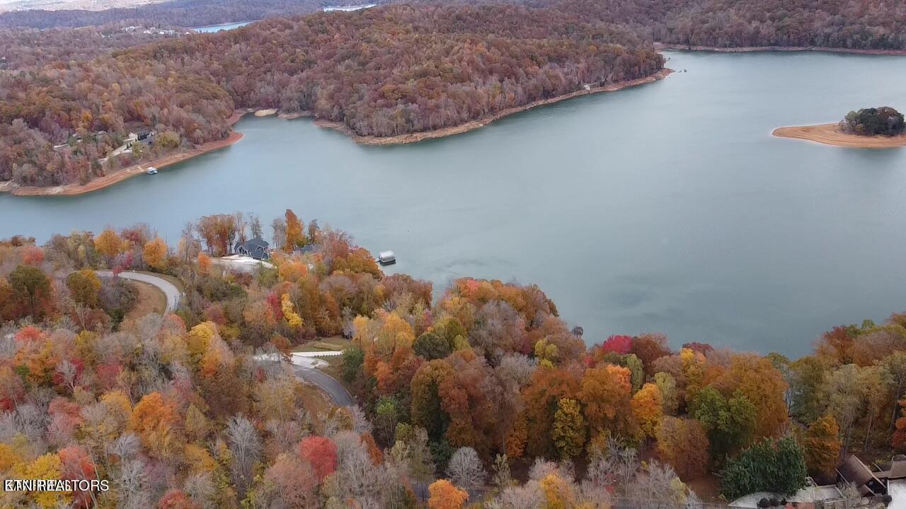 Norris Lake Real Estate - Image# 2