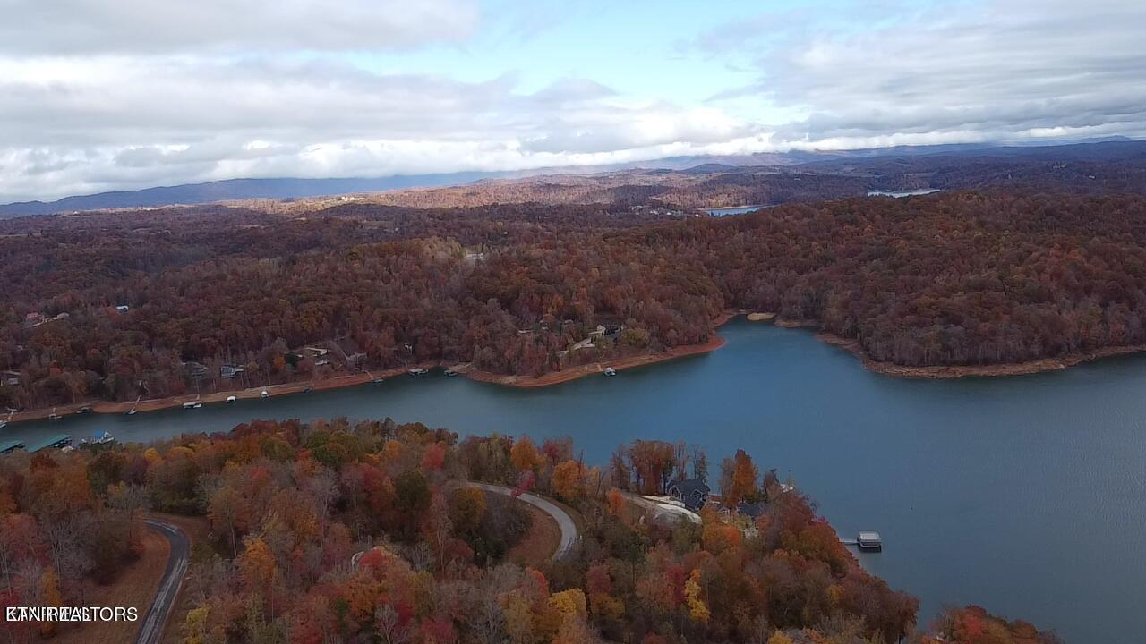 Norris Lake Real Estate - Image# 3