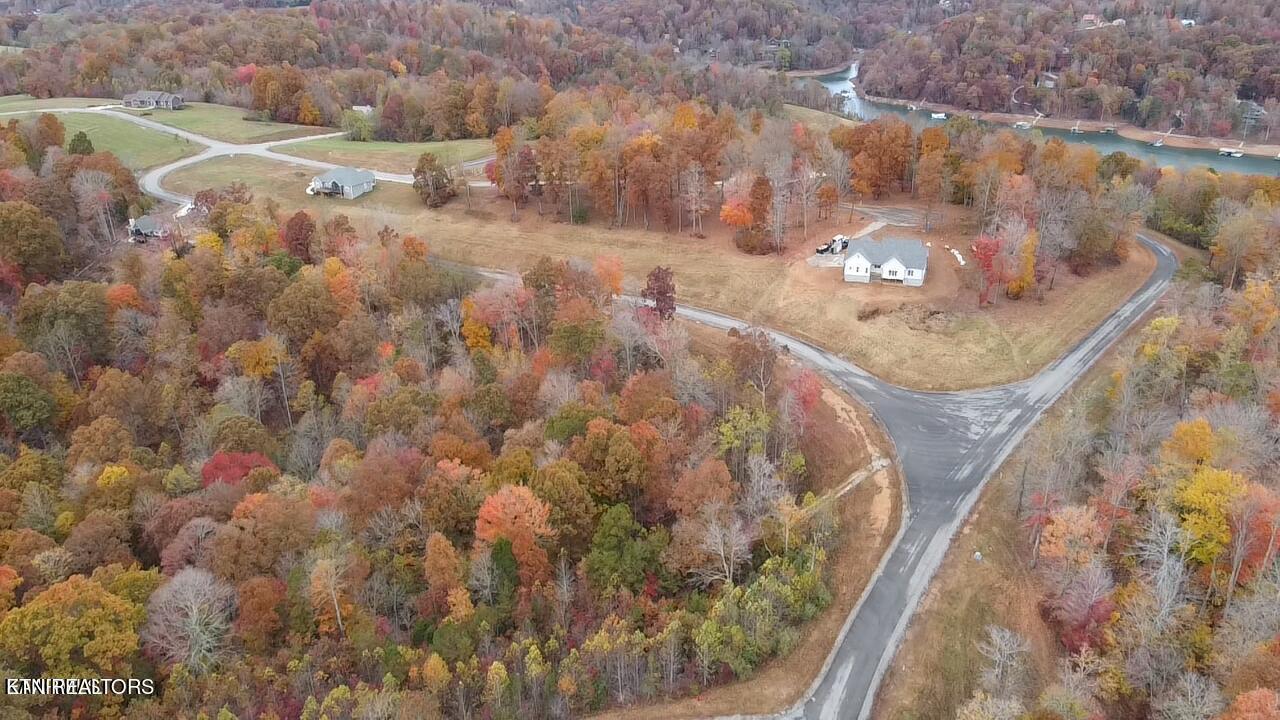 Norris Lake Real Estate - Image# 6