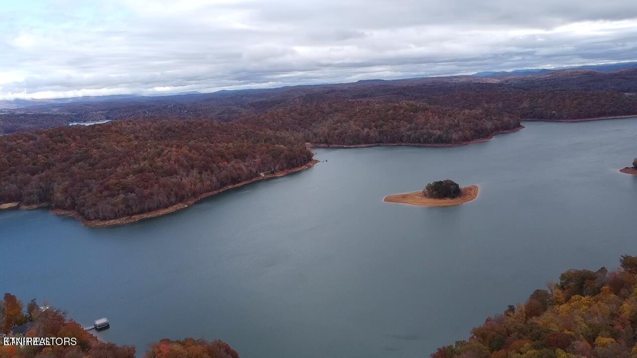 Norris Lake Real Estate - Image# 19