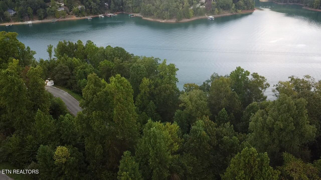 Norris Lake Real Estate - Image# 8