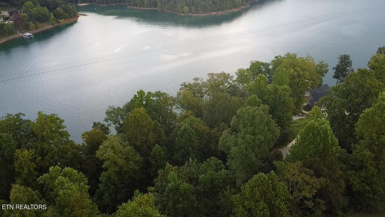 Norris Lake Real Estate - Image# 9