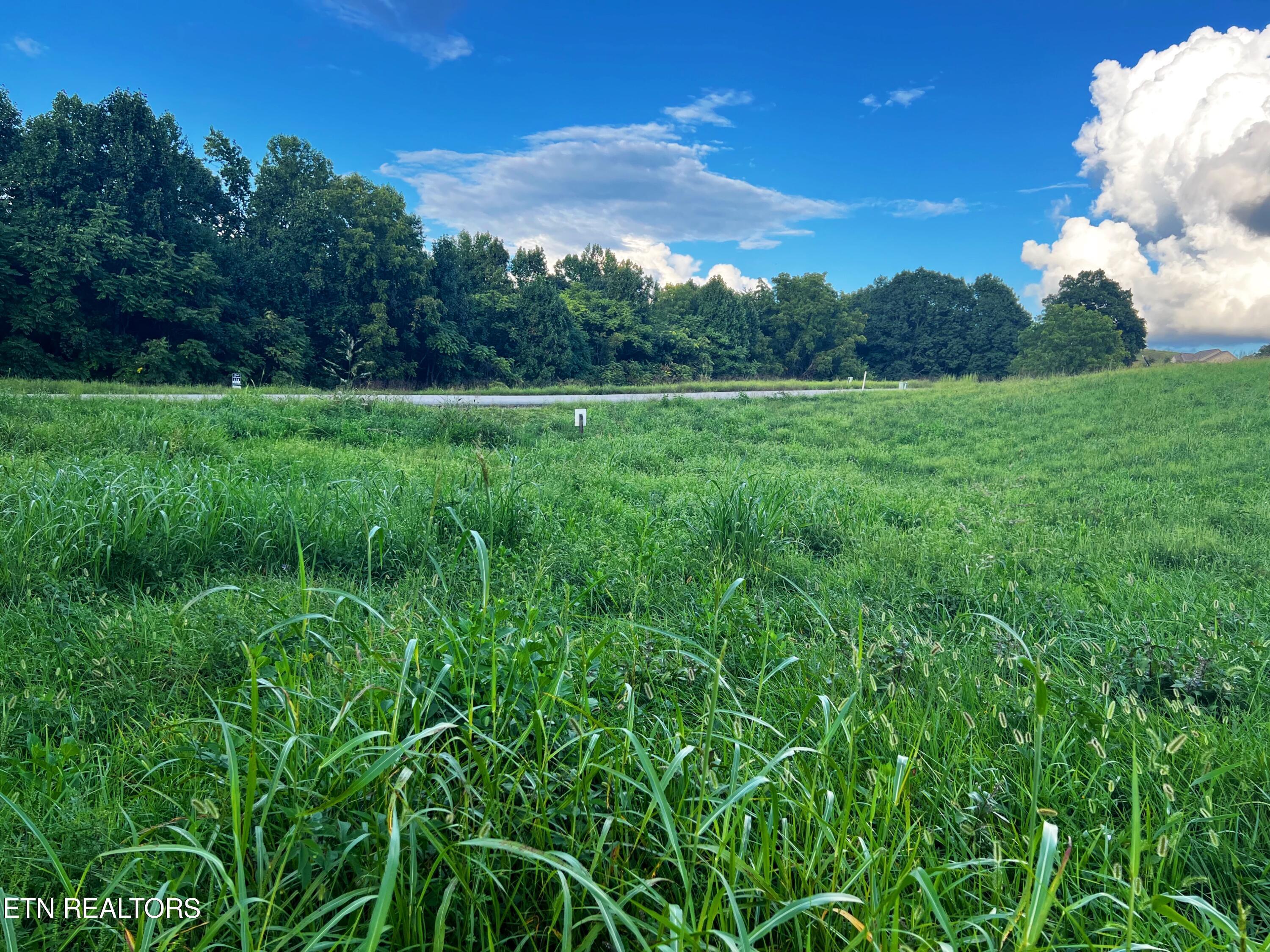 Norris Lake Real Estate - Image# 9