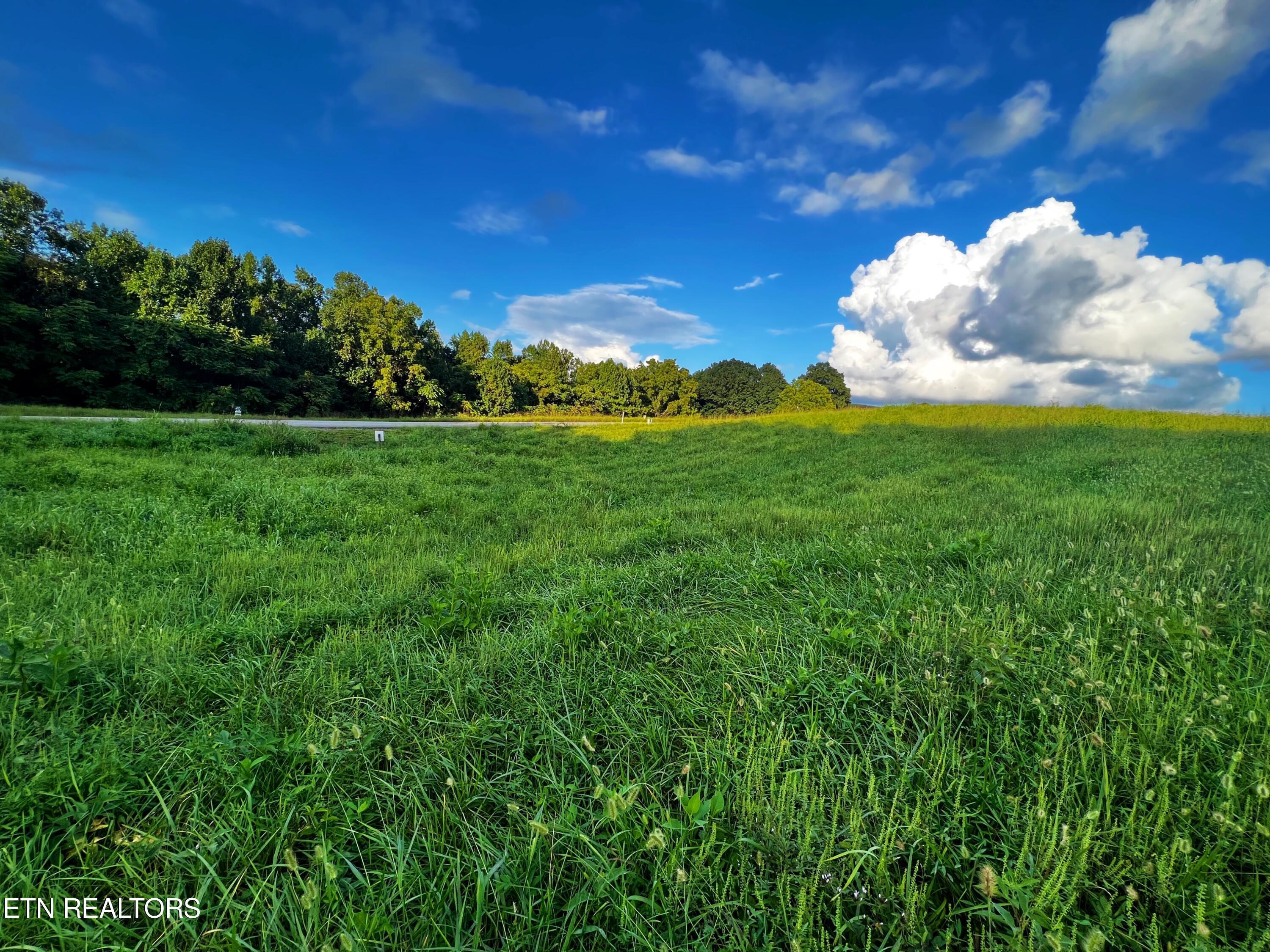 Norris Lake Real Estate - Image# 3