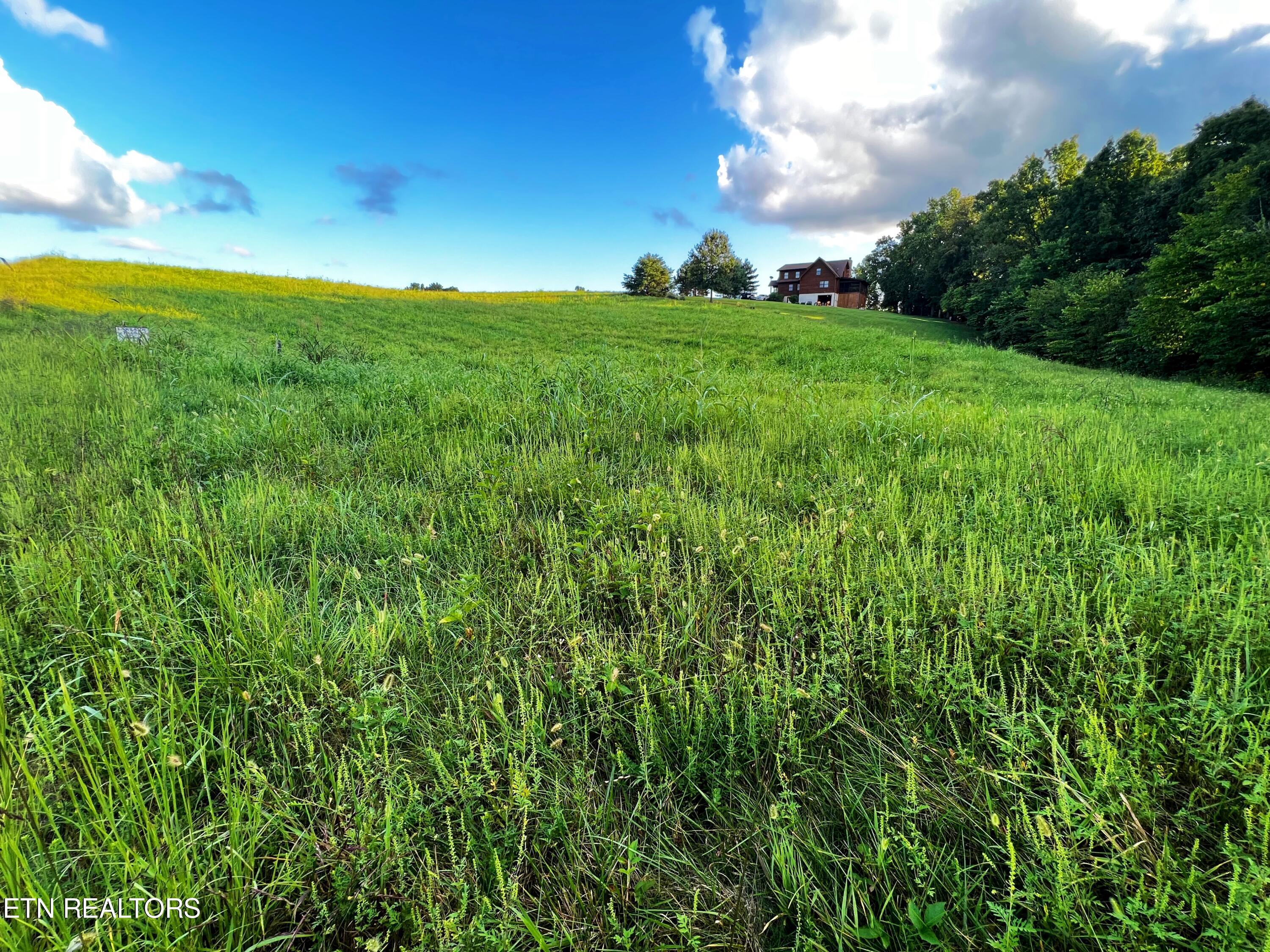 Norris Lake Real Estate - Image# 19