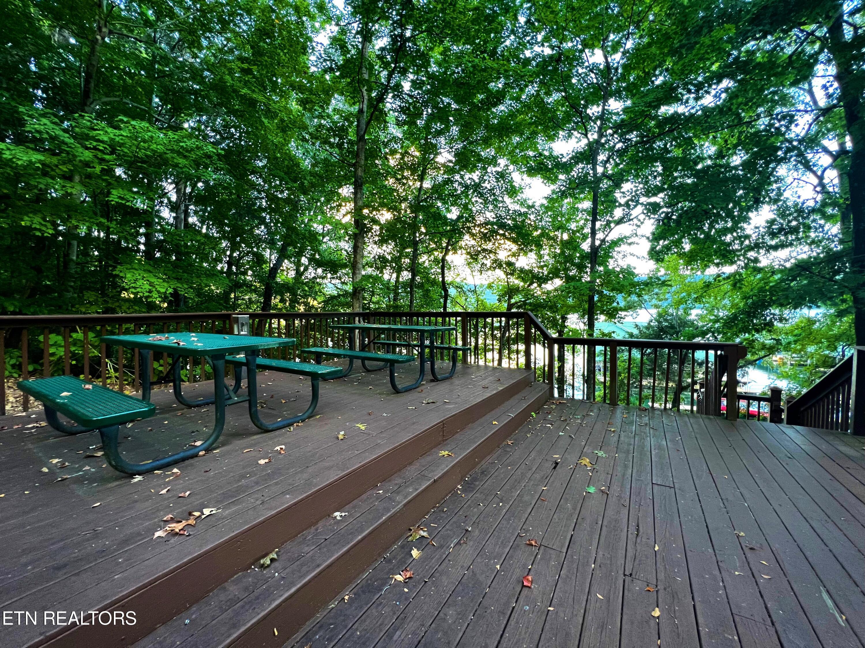 Norris Lake Real Estate - Image# 24