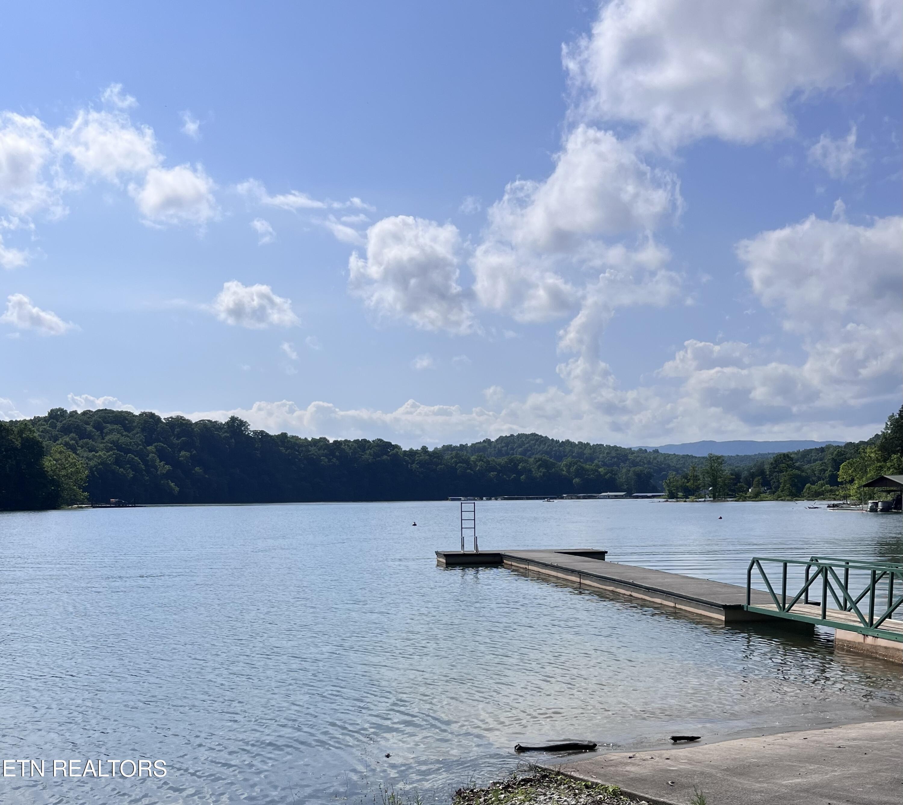 Norris Lake Real Estate - Image# 16