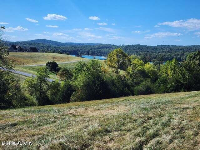 Norris Lake Real Estate - Image# 9