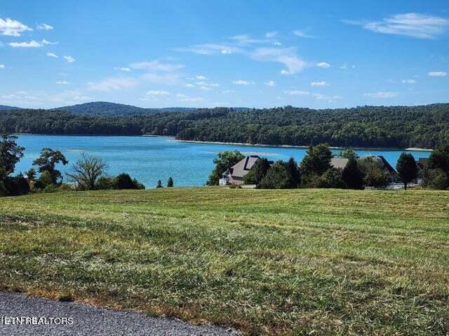 Norris Lake Real Estate - Image# 10