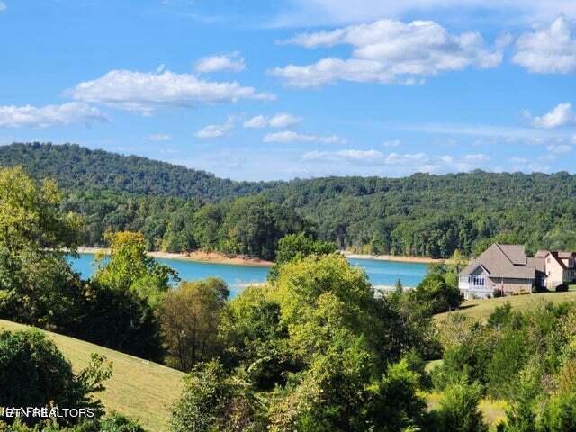 Norris Lake Real Estate - Image# 11