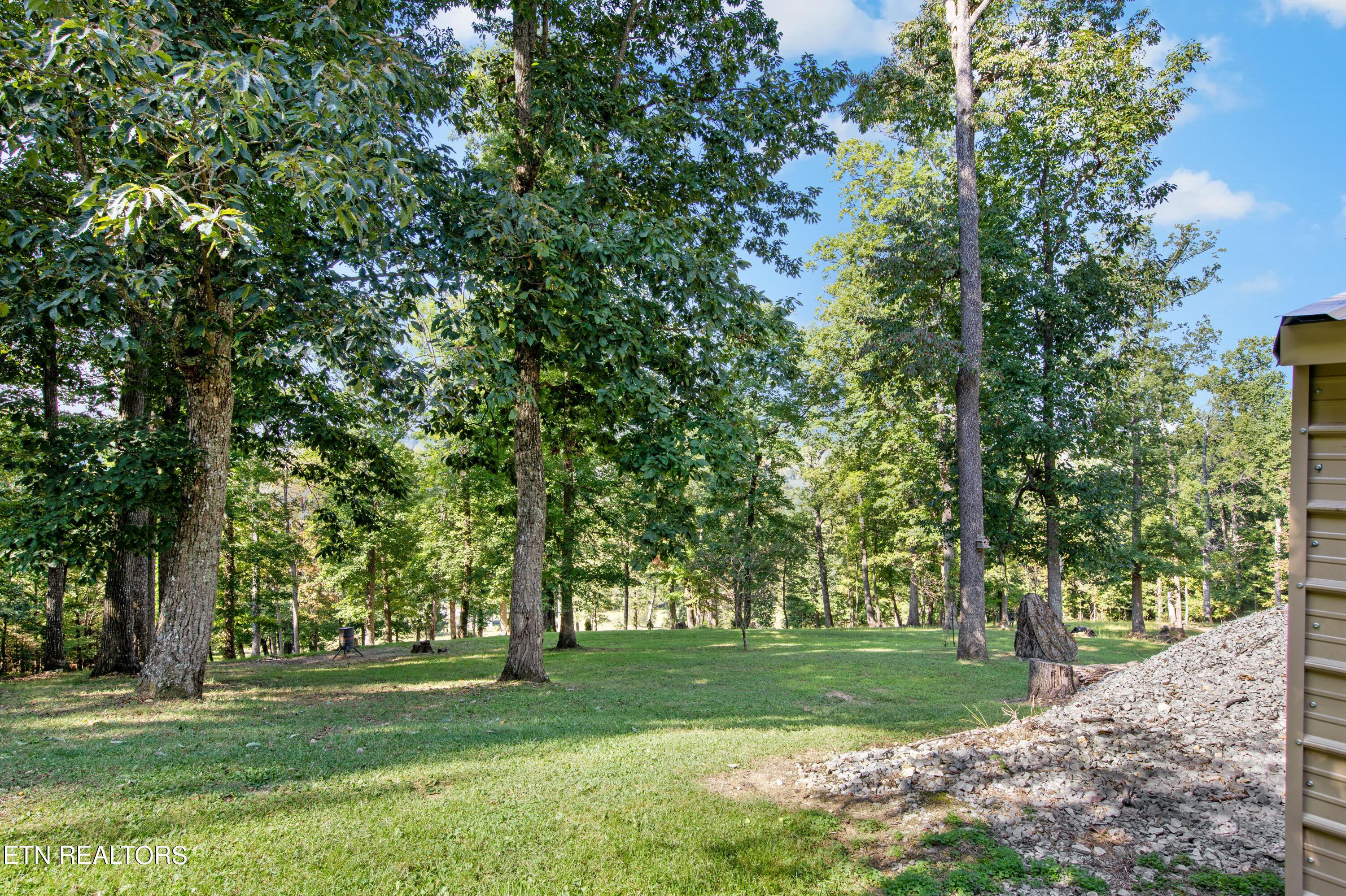 Norris Lake Real Estate - Image# 15