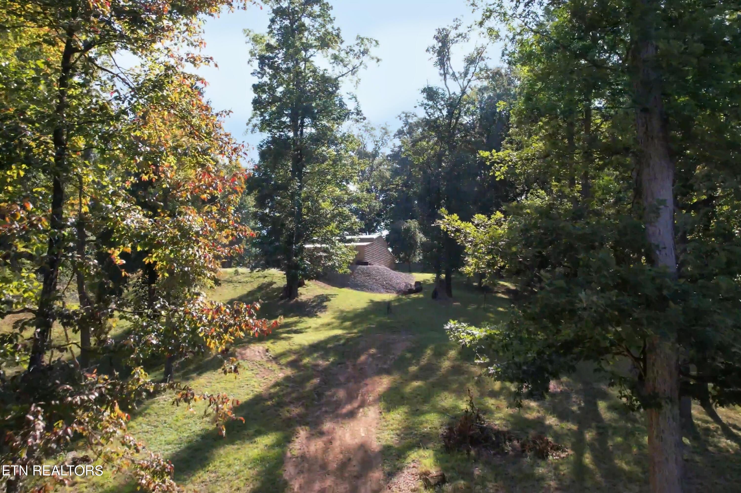 Norris Lake Real Estate - Image# 3