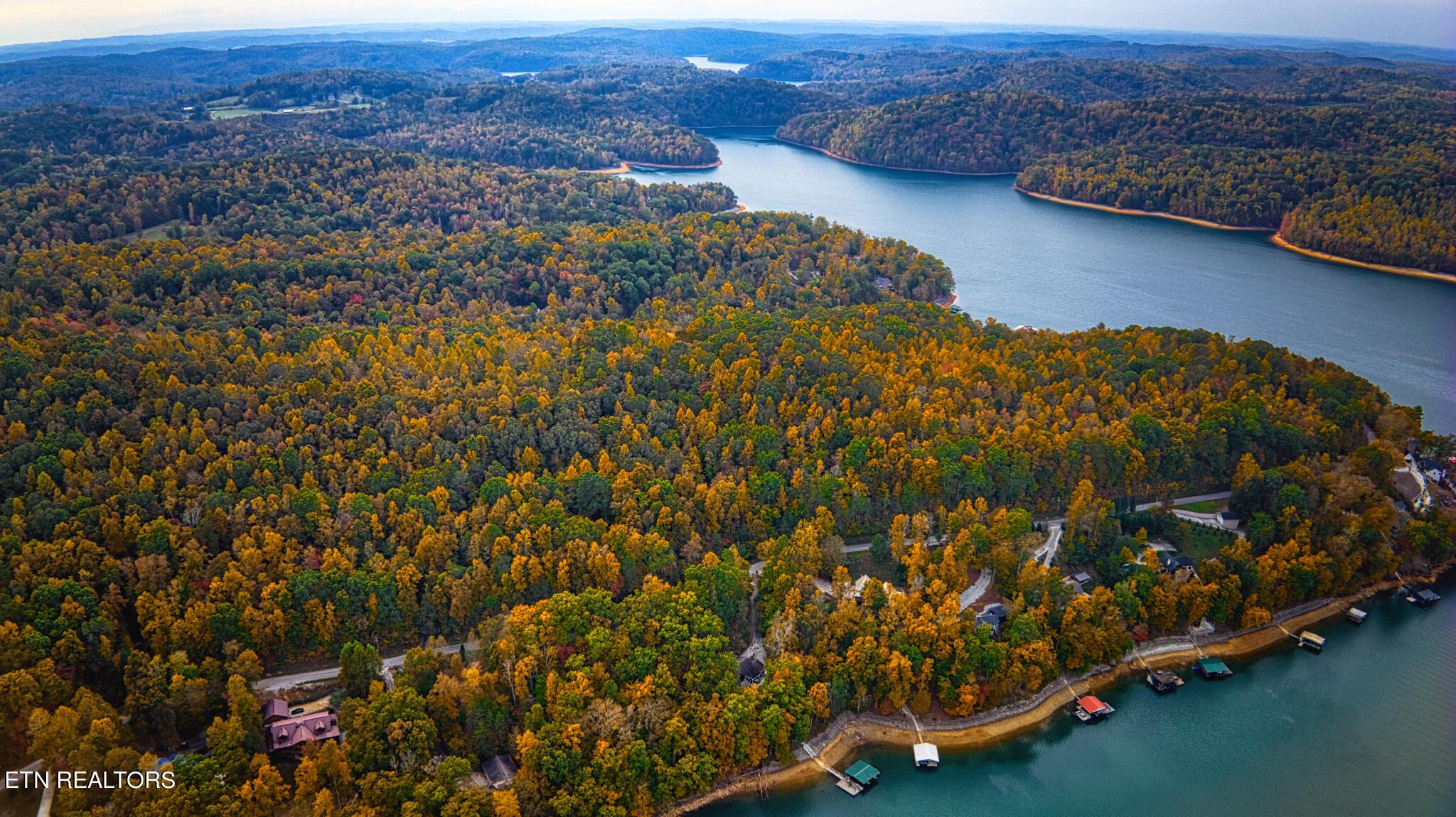 Norris Lake Real Estate - Image# 8