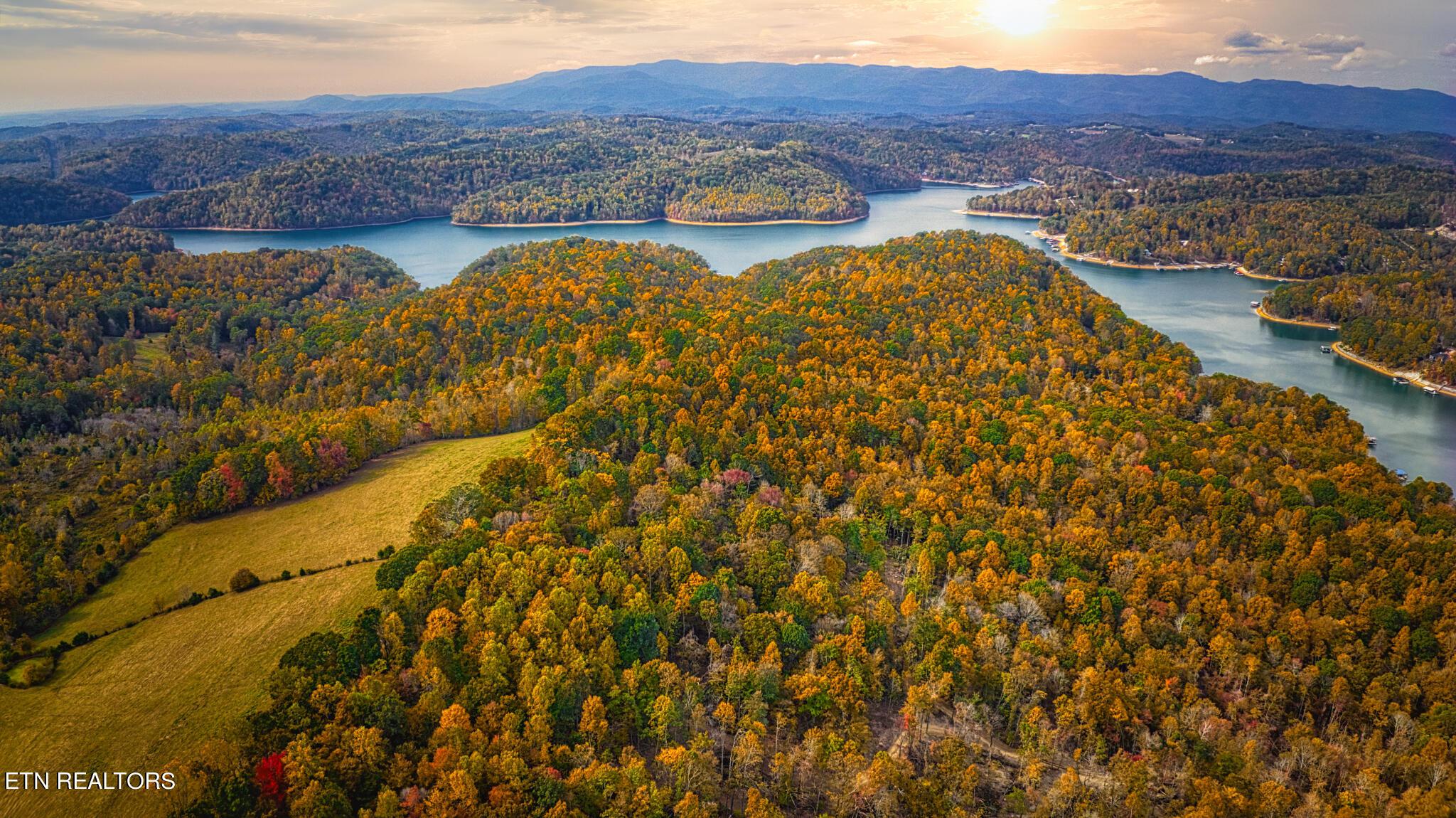 Norris Lake Real Estate - Image# 11