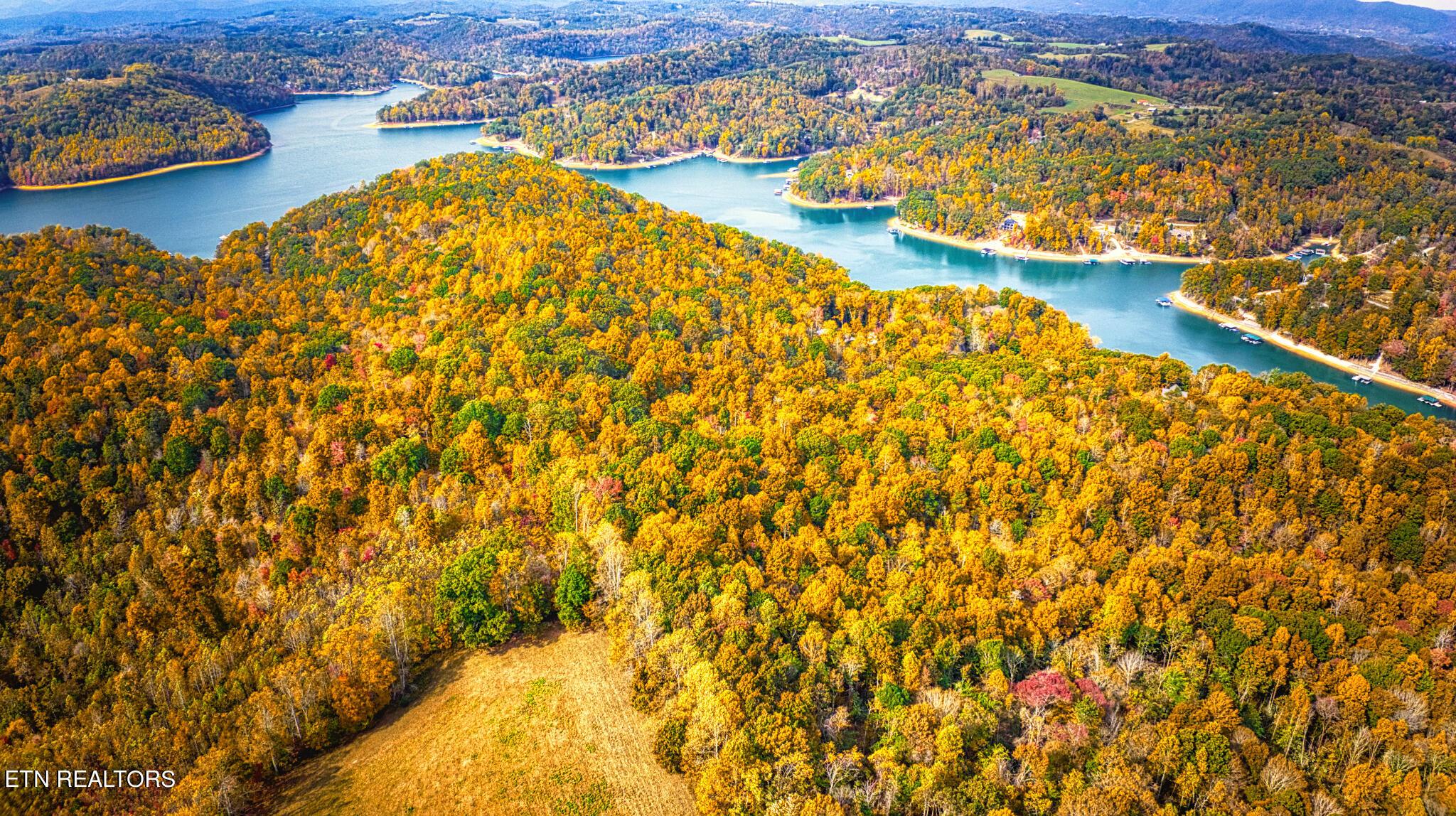 Norris Lake Real Estate - Image# 14