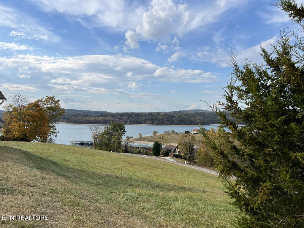 Norris Lake Real Estate - Image# 5