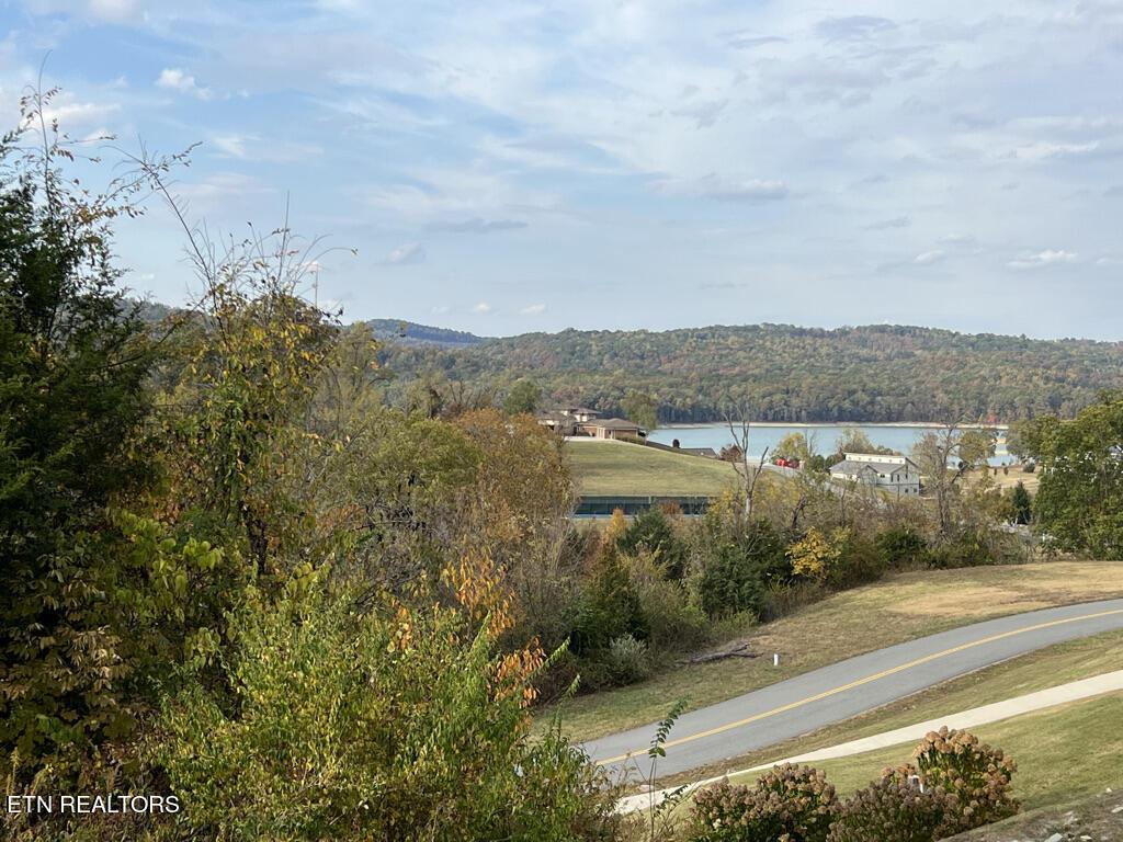 Norris Lake Real Estate - Image# 6