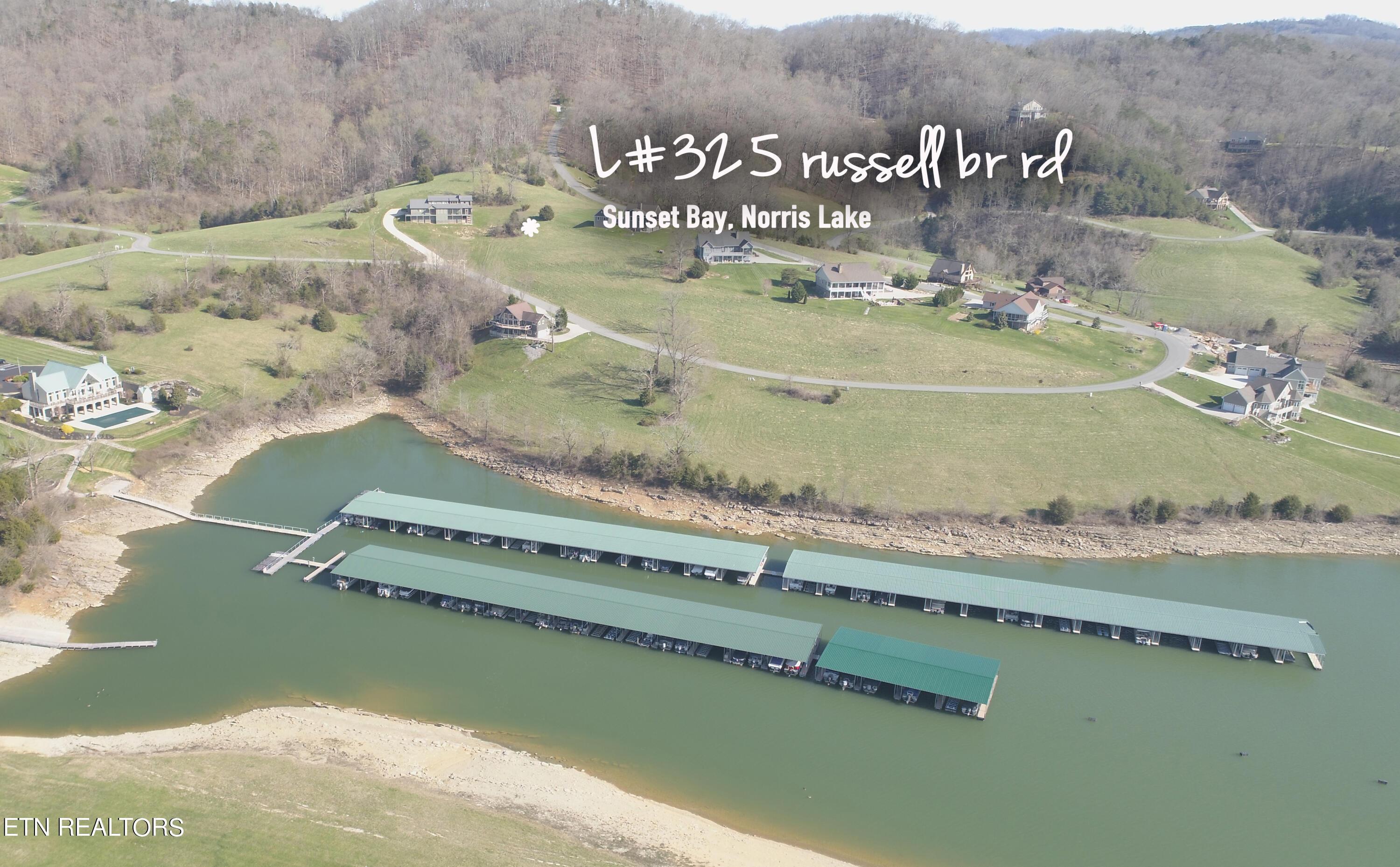 Norris Lake Real Estate - Image# 12