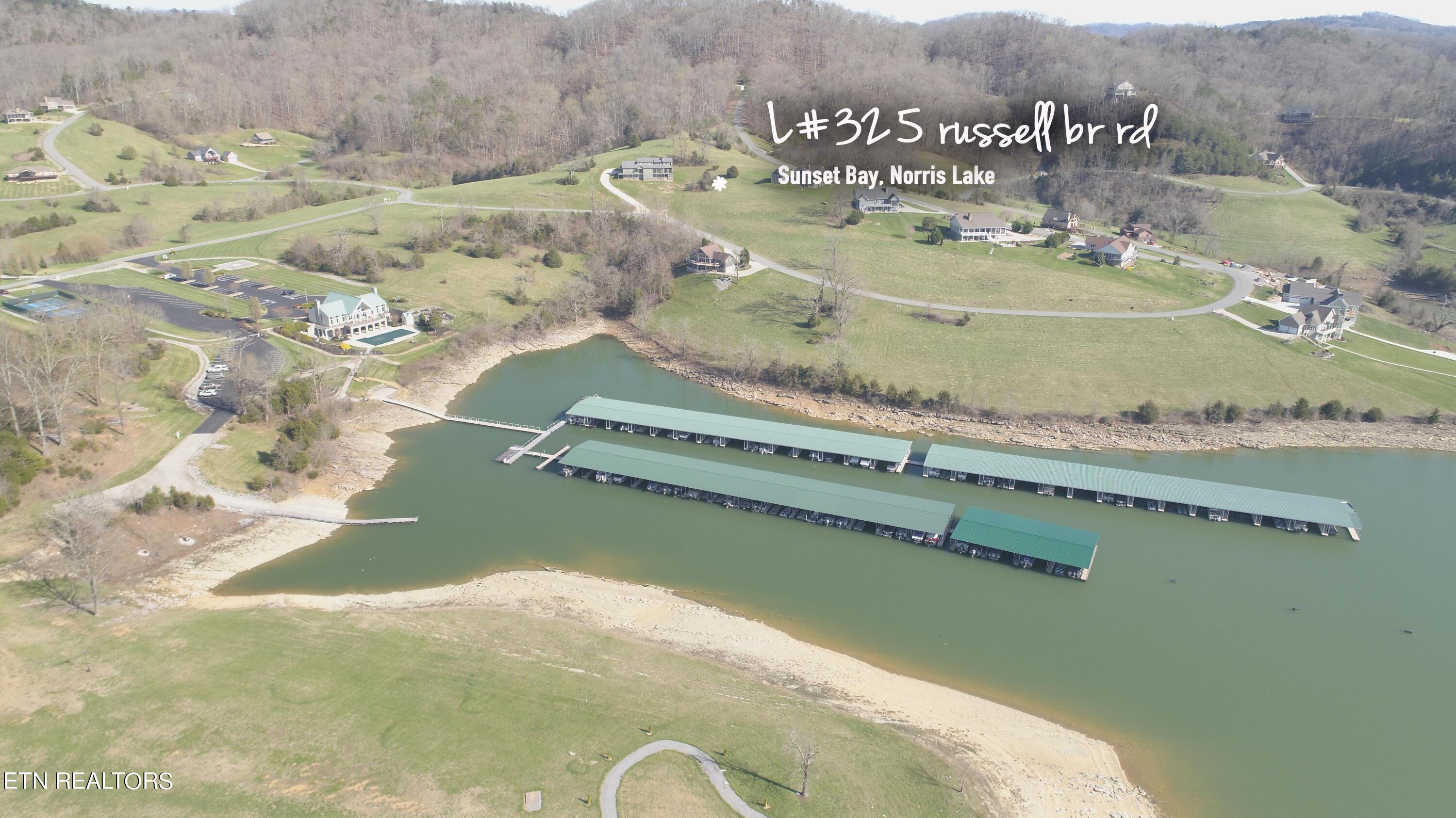 Norris Lake Real Estate - Image# 2