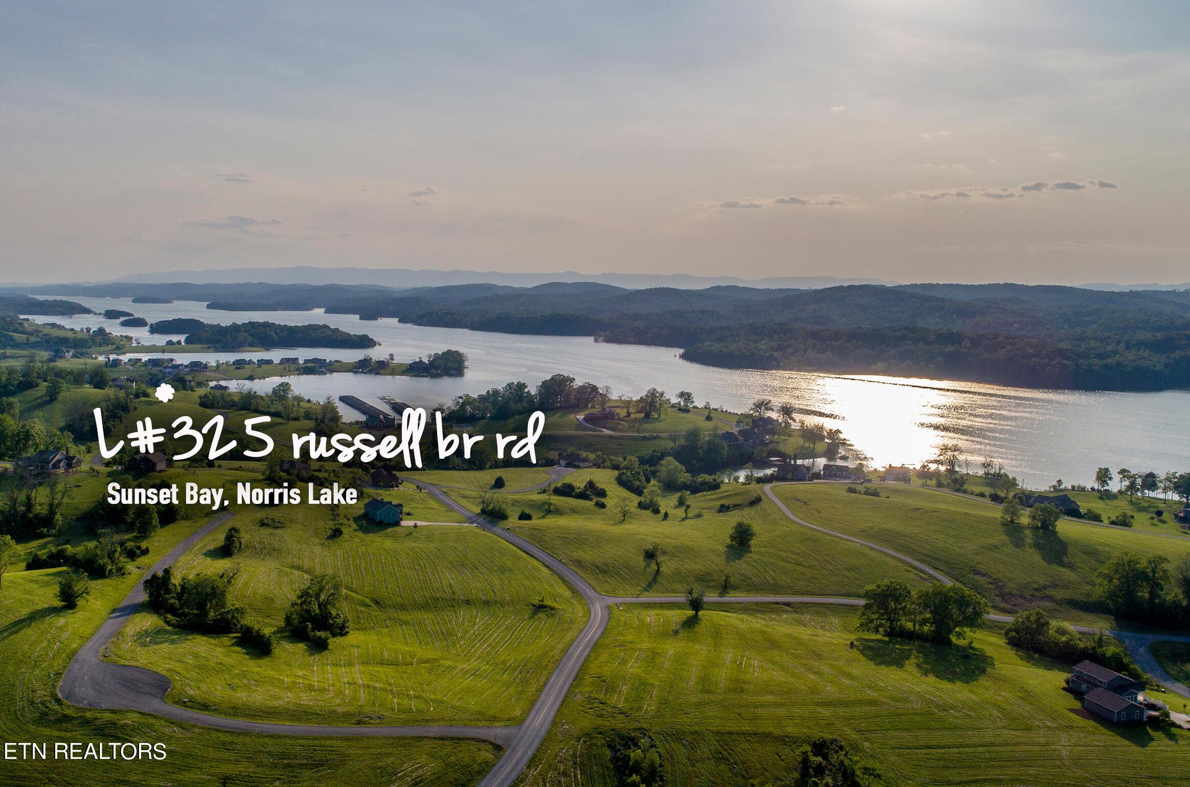 Norris Lake Real Estate - Image# 3