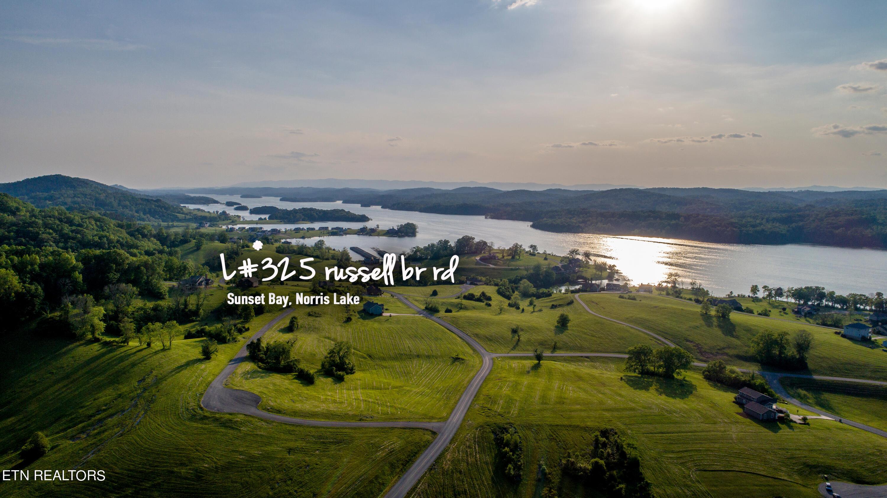 Norris Lake Real Estate - Image# 11