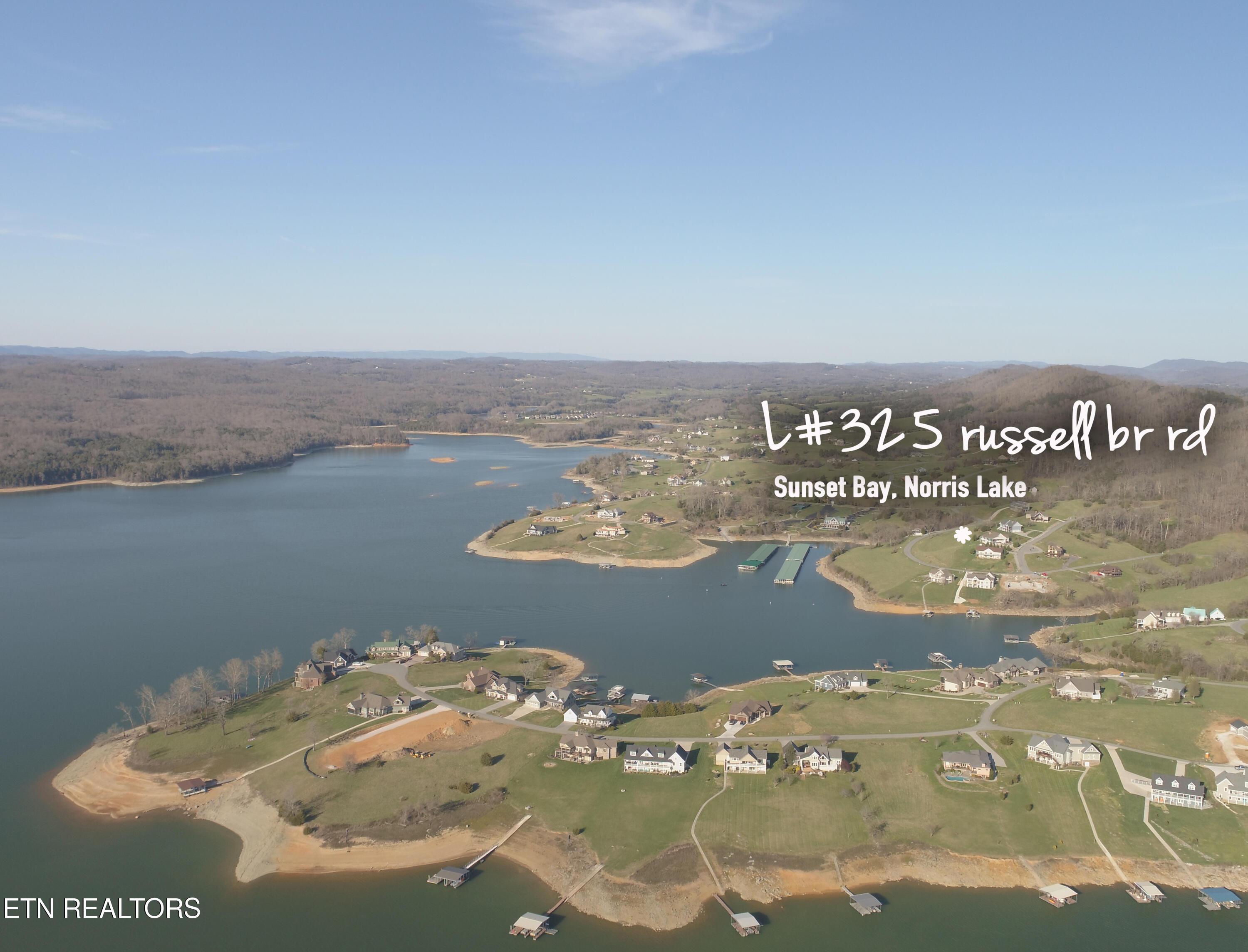 Norris Lake Real Estate - Image# 4