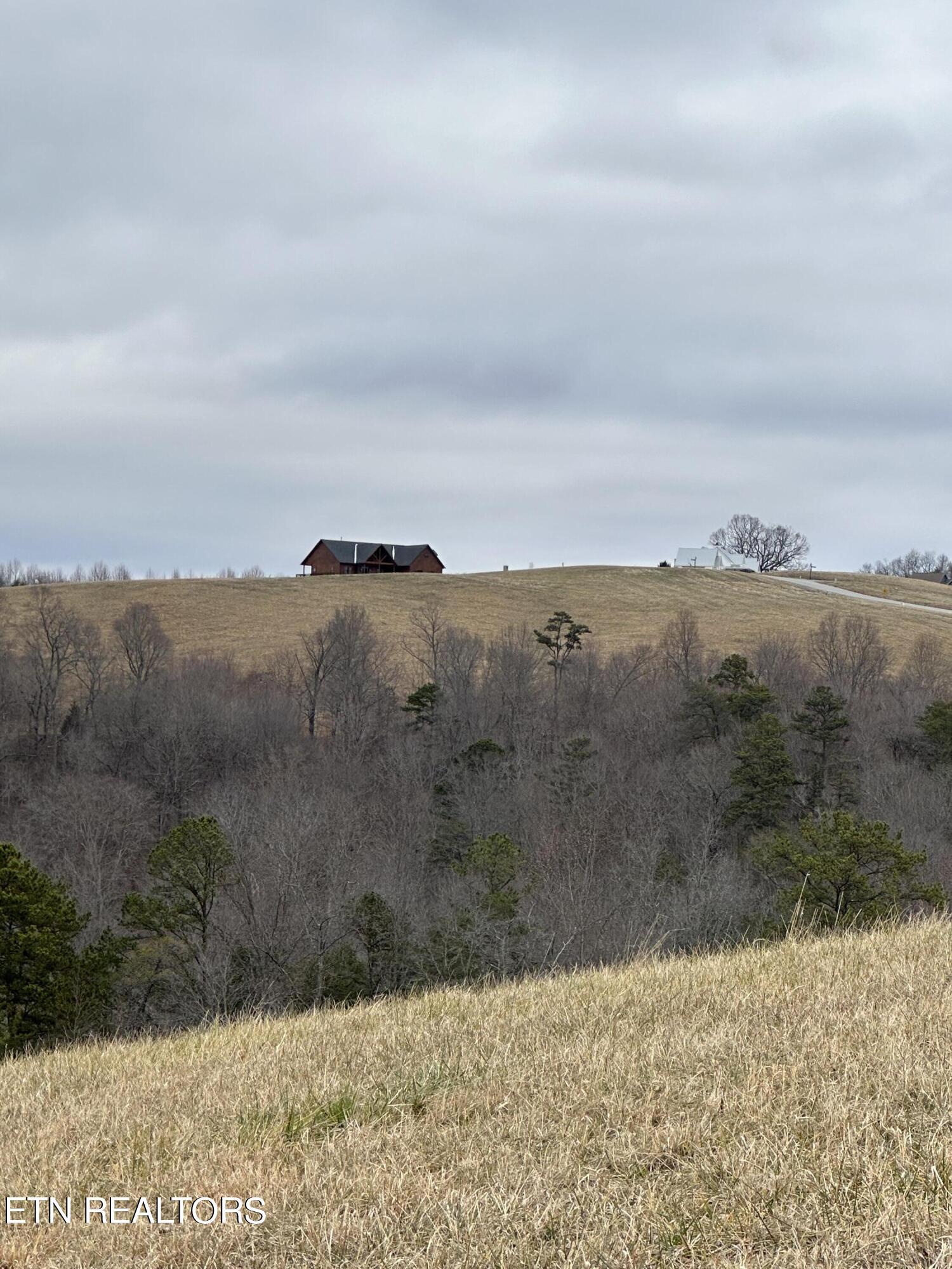 Norris Lake Real Estate - Image# 8