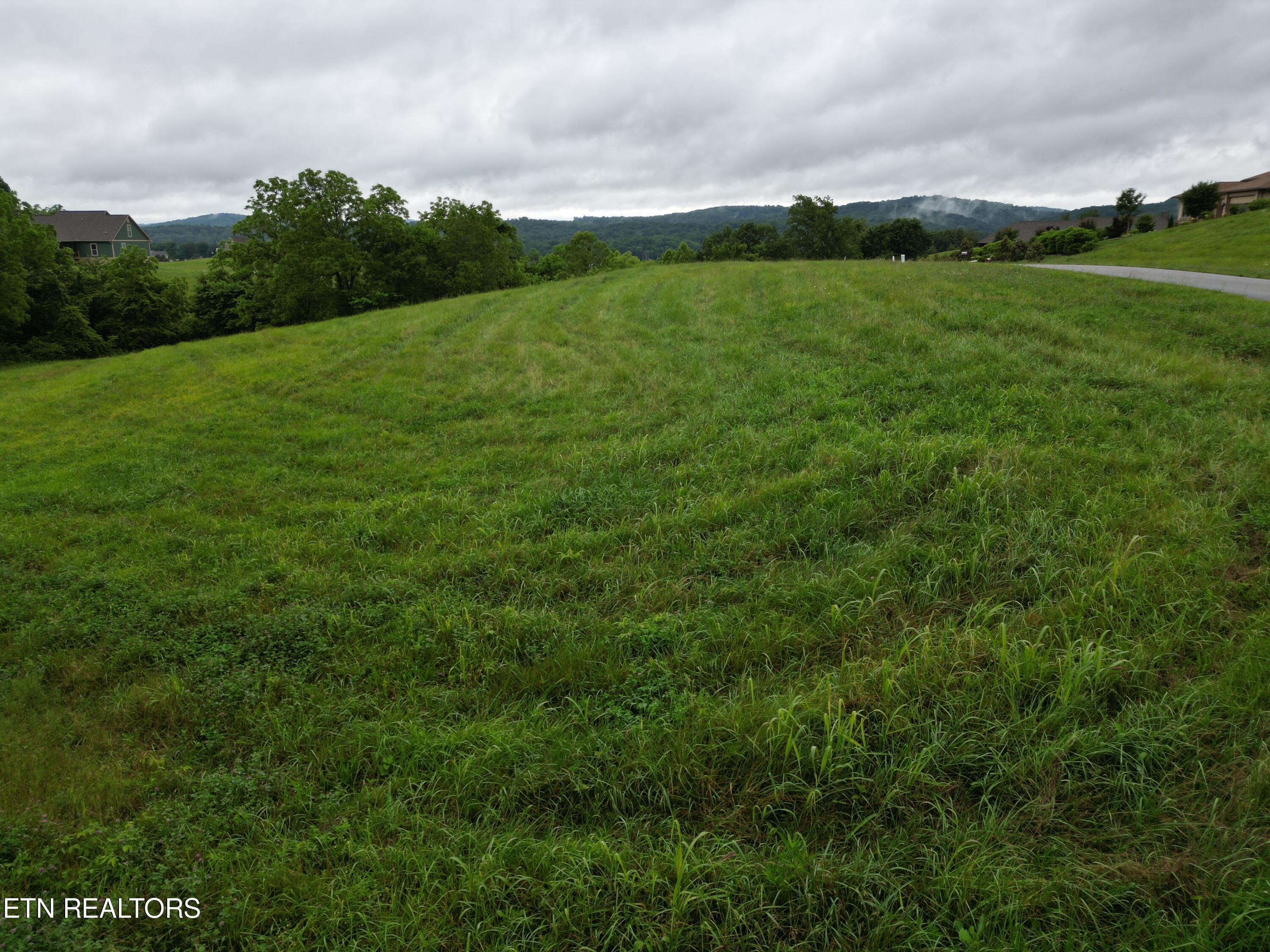 Norris Lake Real Estate - Image# 3