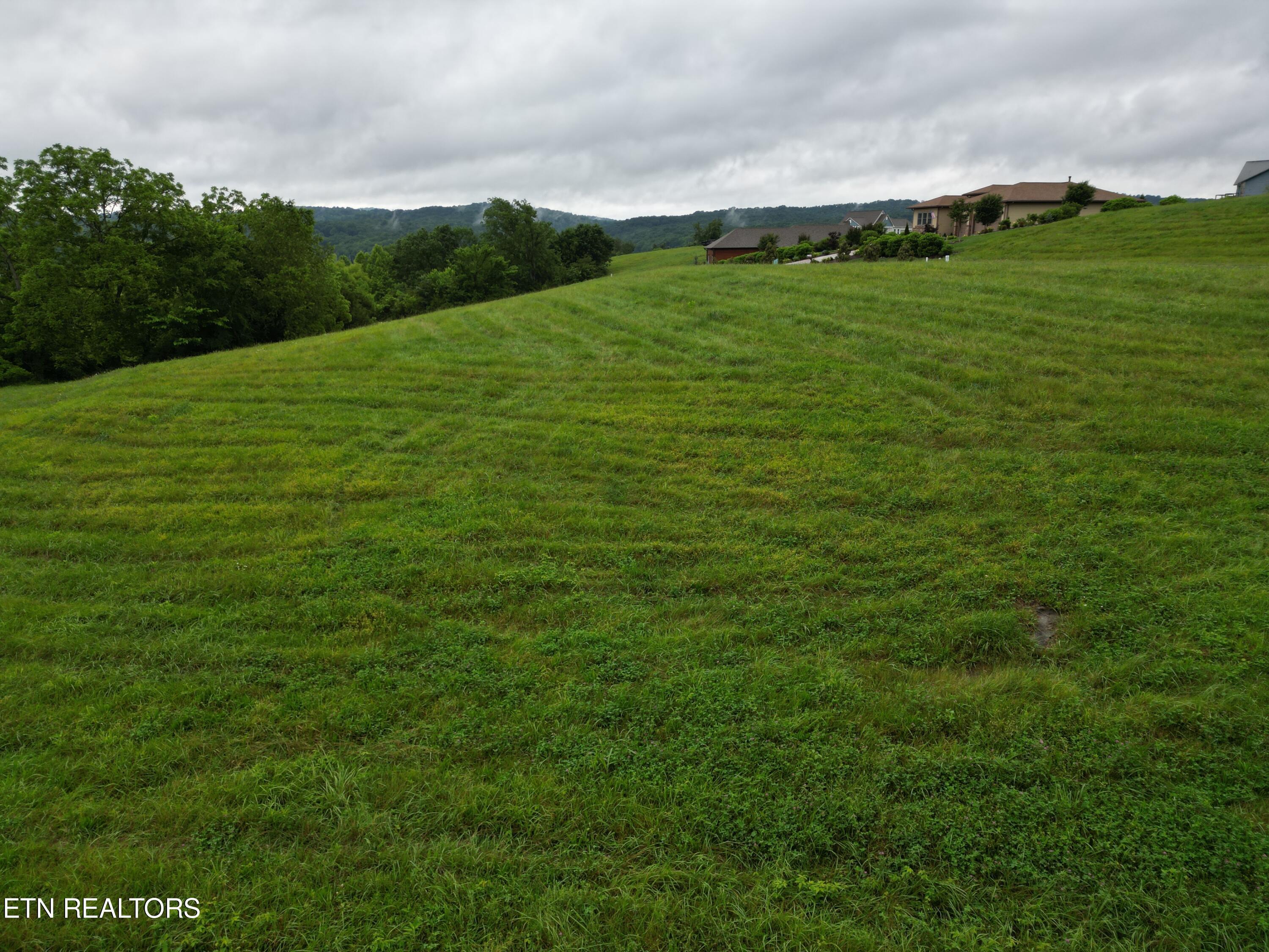 Norris Lake Real Estate - Image# 5