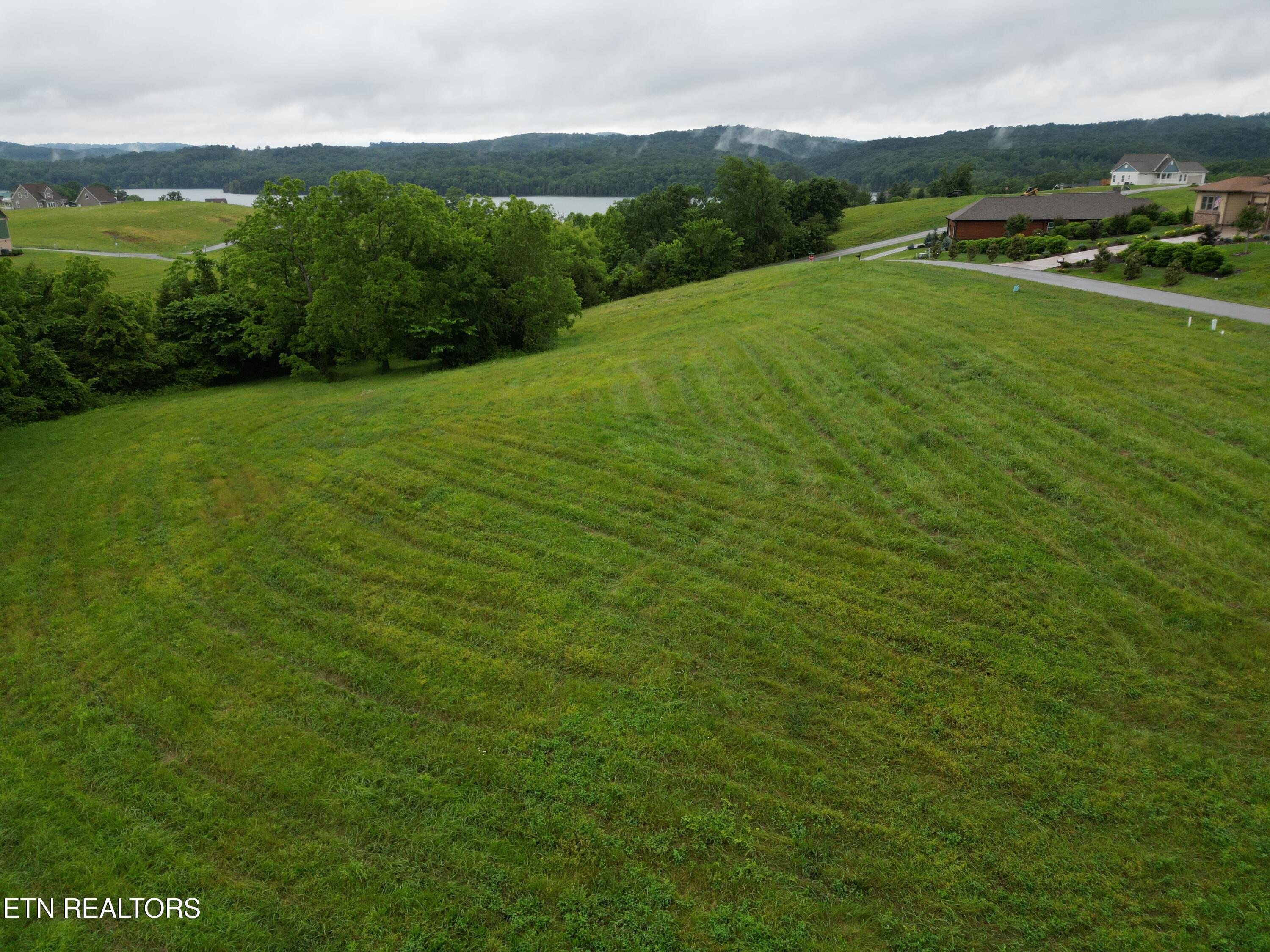 Norris Lake Real Estate - Image# 7