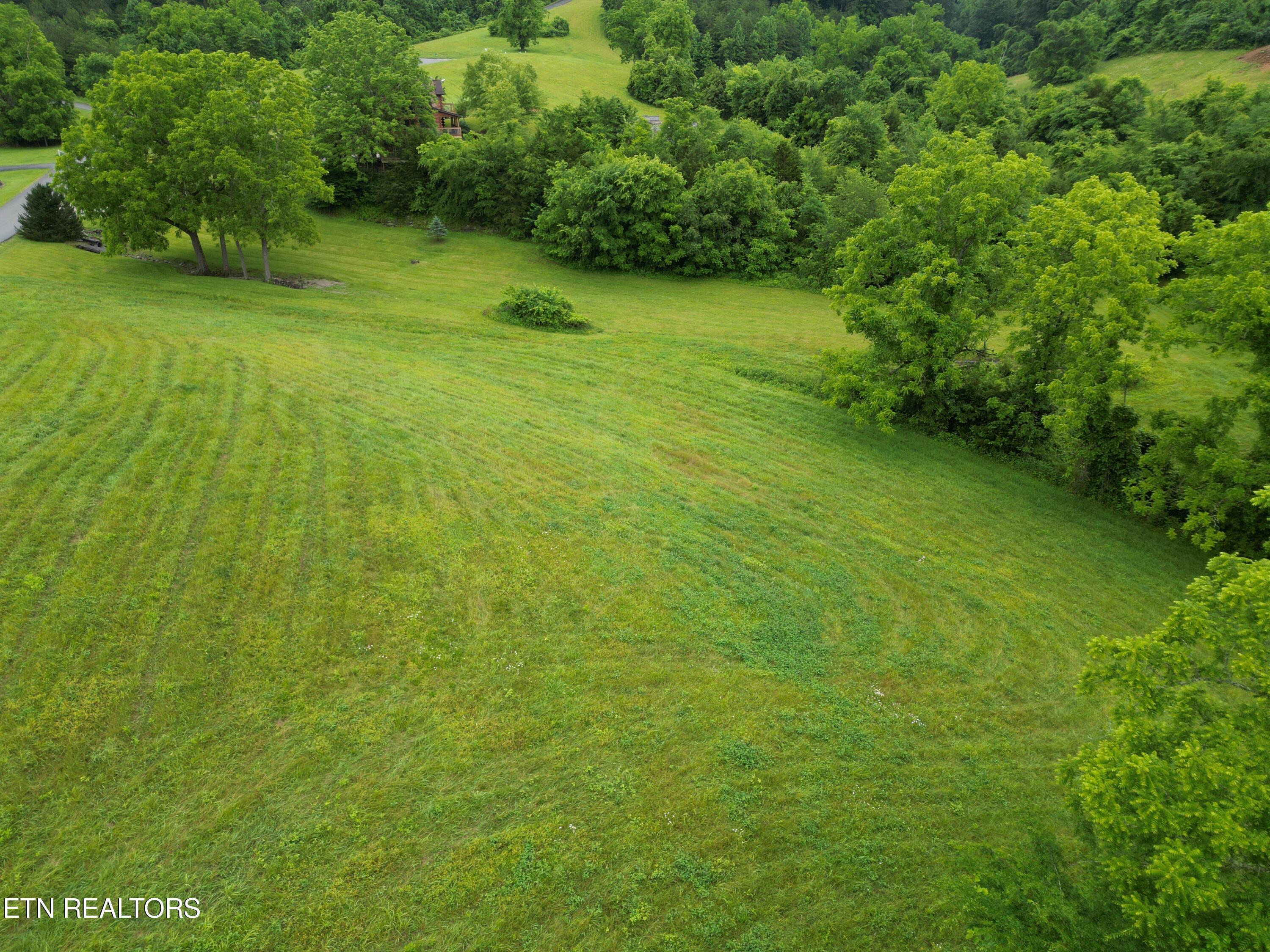 Norris Lake Real Estate - Image# 23