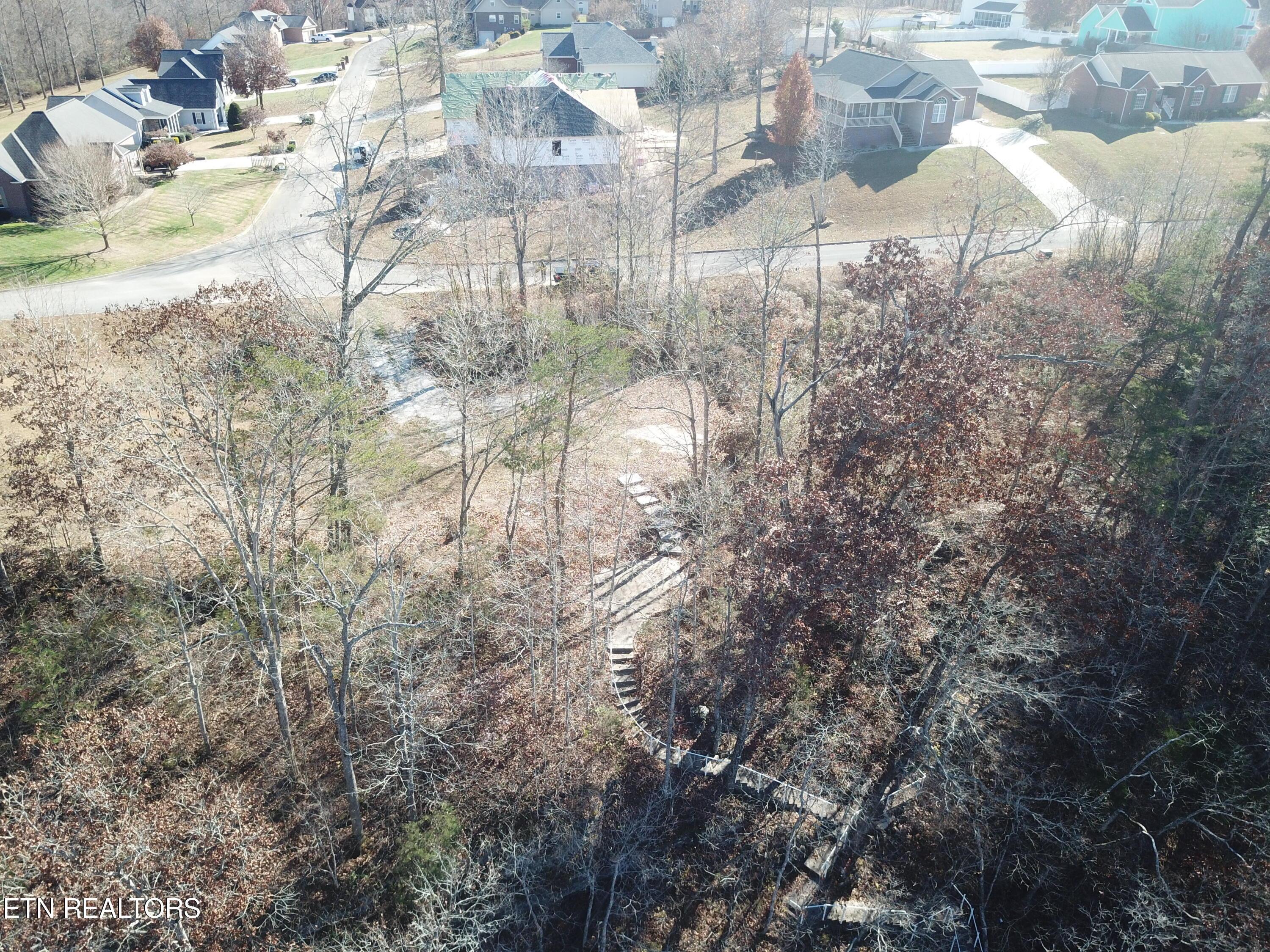 Norris Lake Real Estate - Image# 11