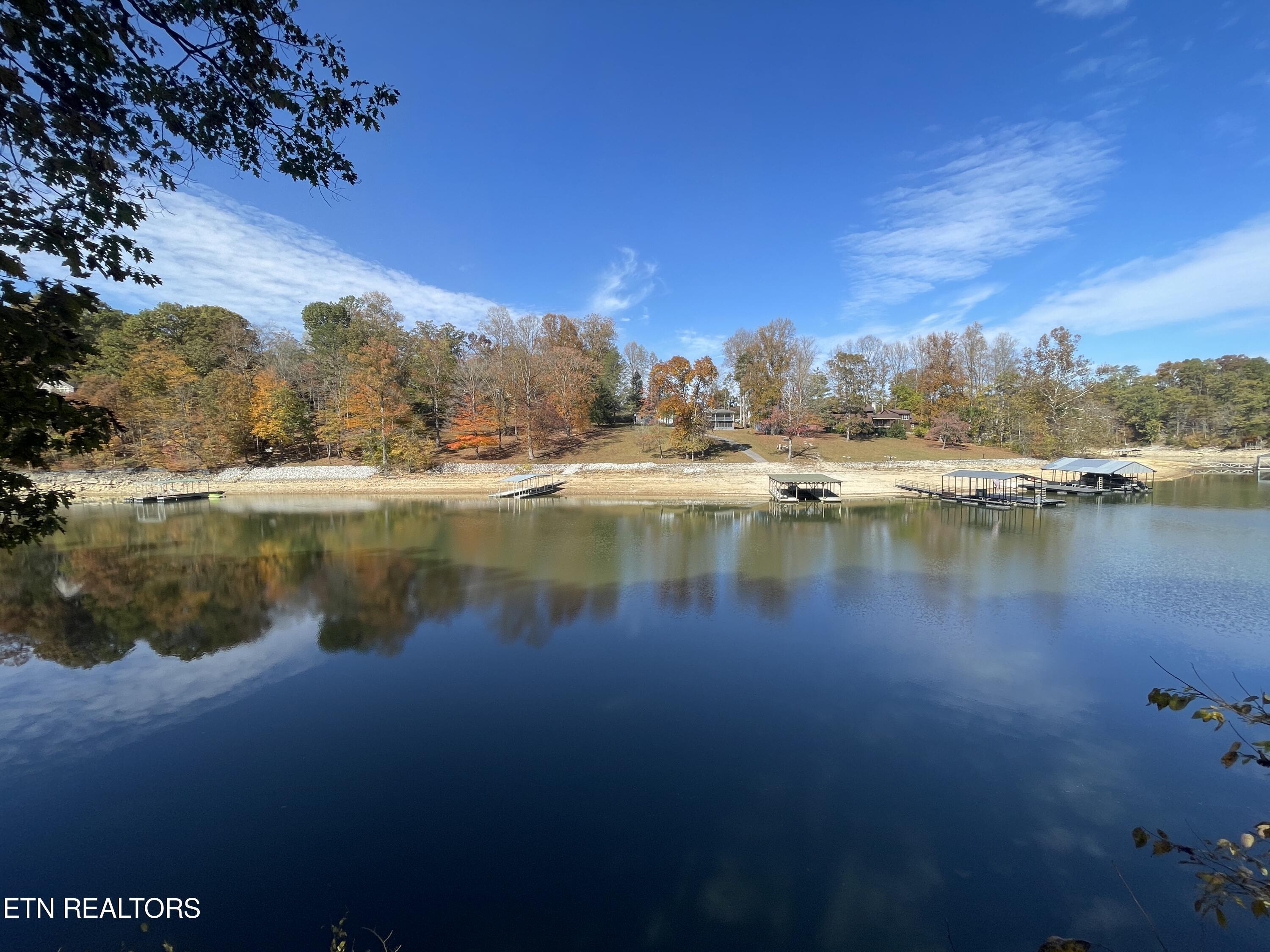 Norris Lake Real Estate - Image# 1