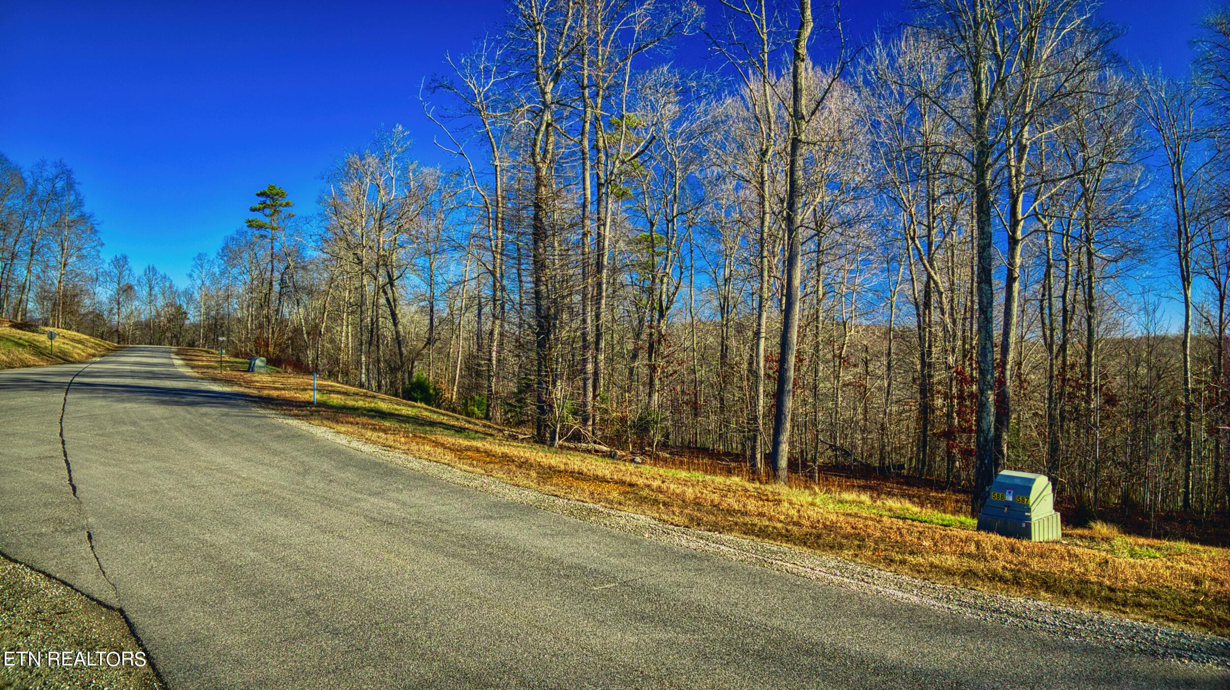 Norris Lake Real Estate - Image# 2