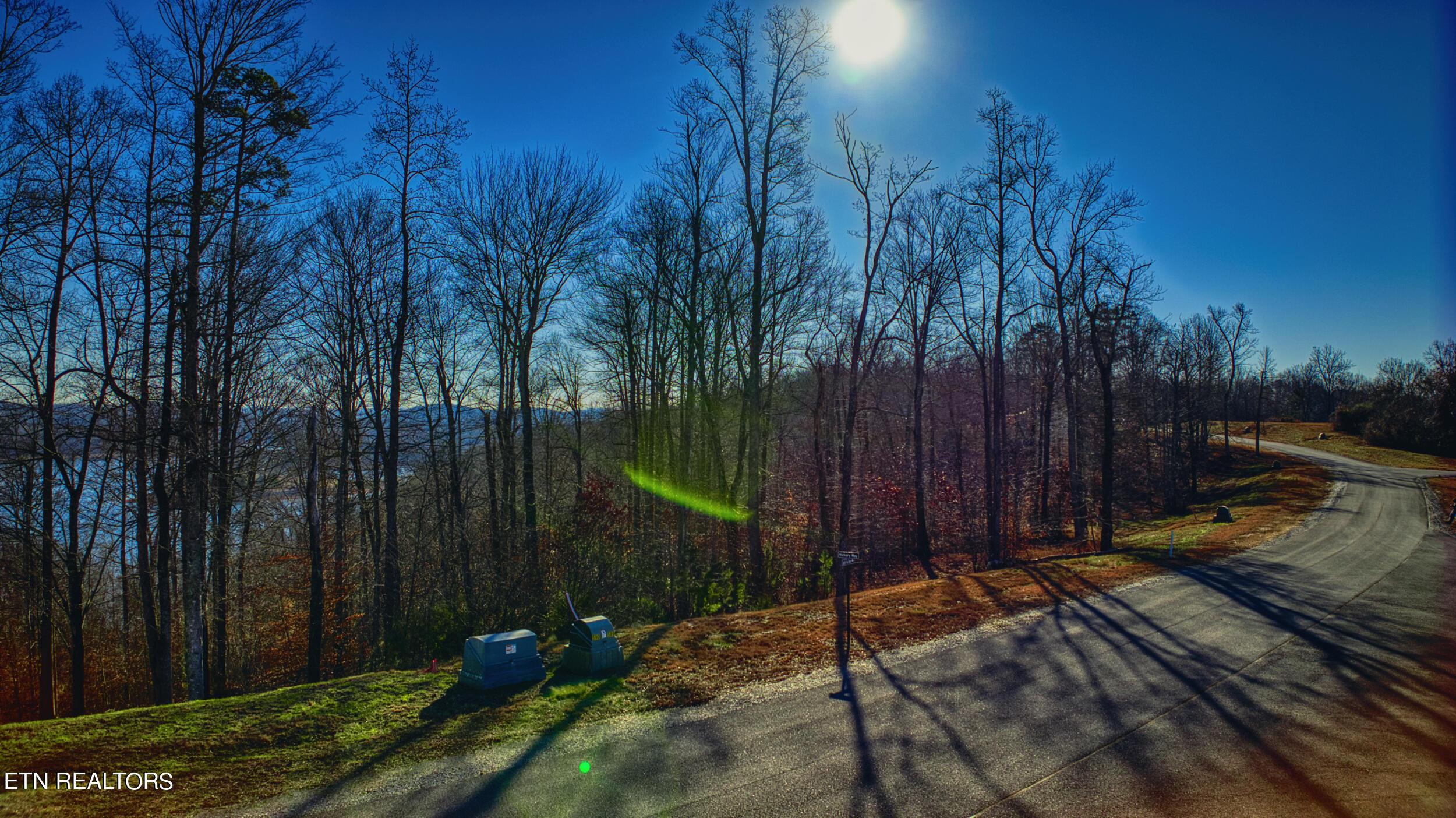 Norris Lake Real Estate - Image# 3