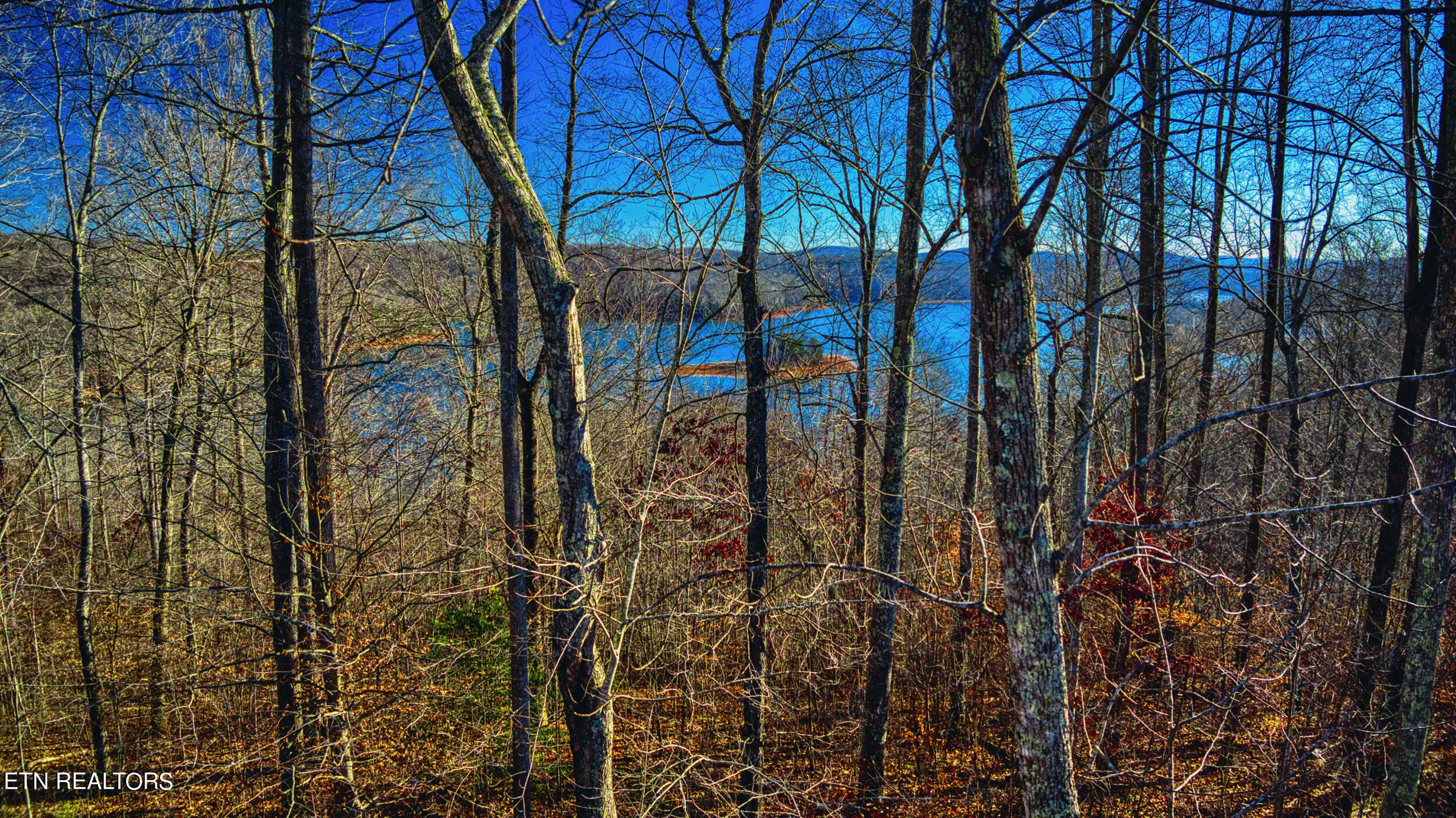 Norris Lake Real Estate - Image# 14