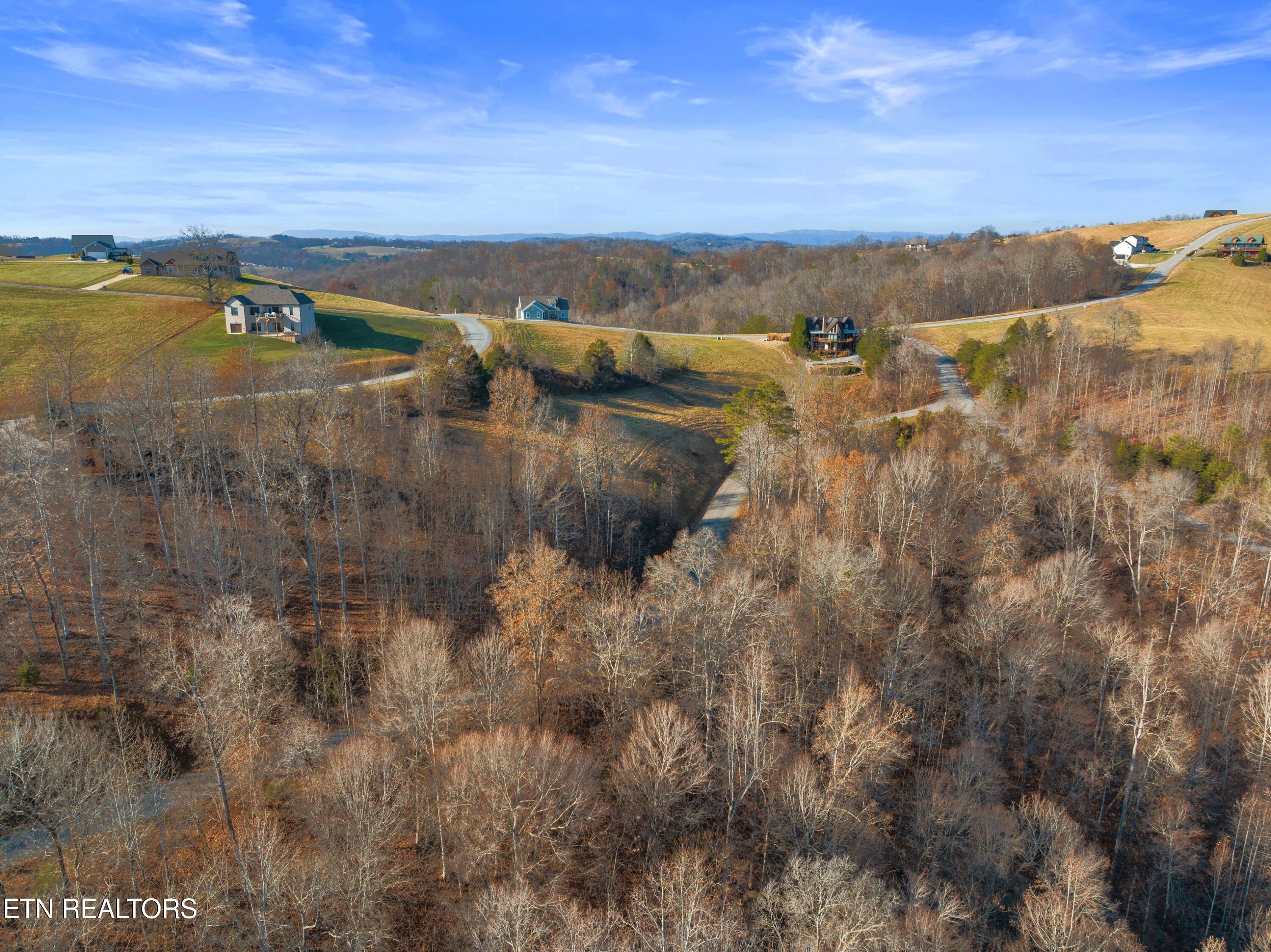 Norris Lake Real Estate - Image# 14