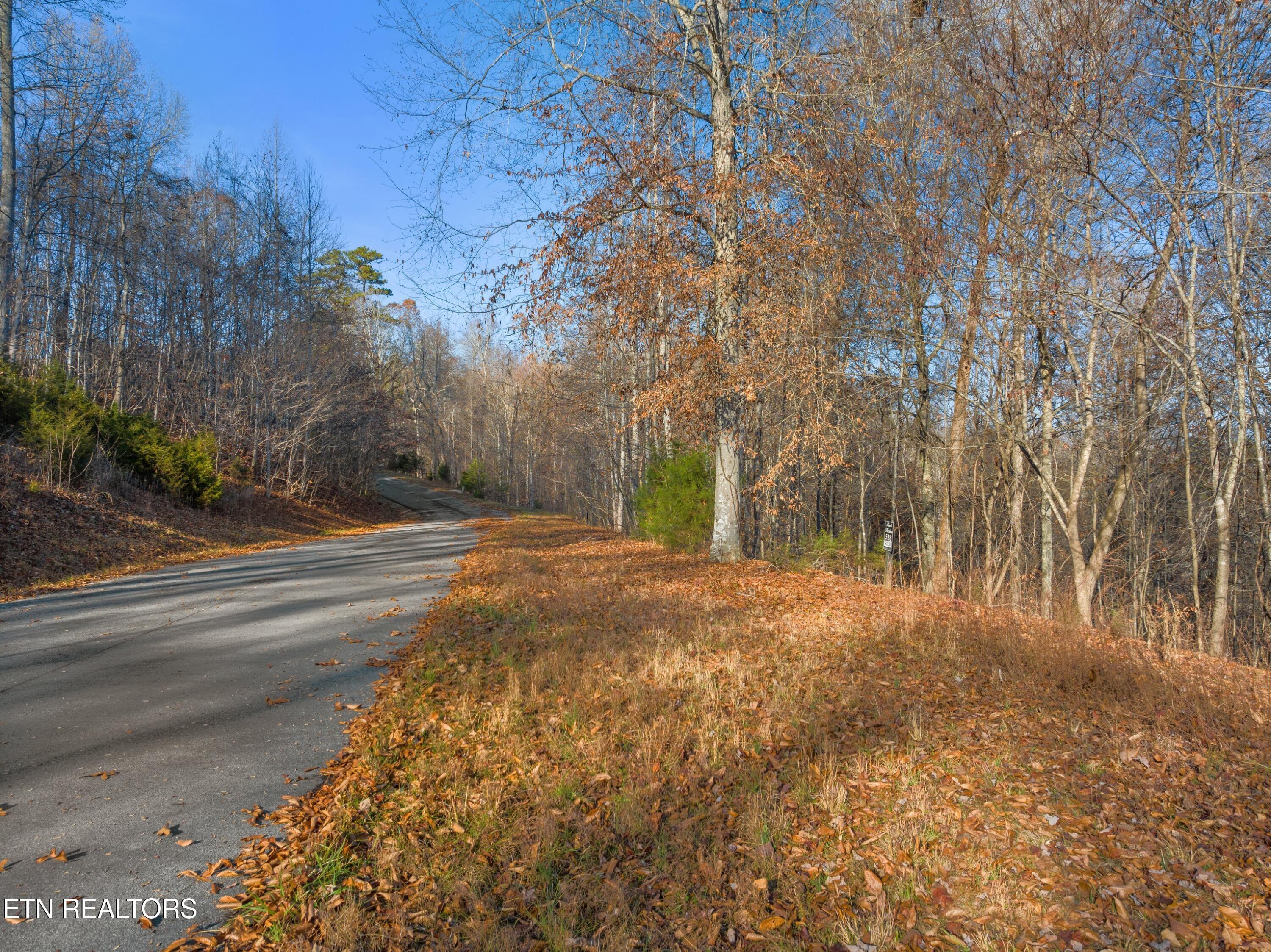 Norris Lake Real Estate - Image# 11