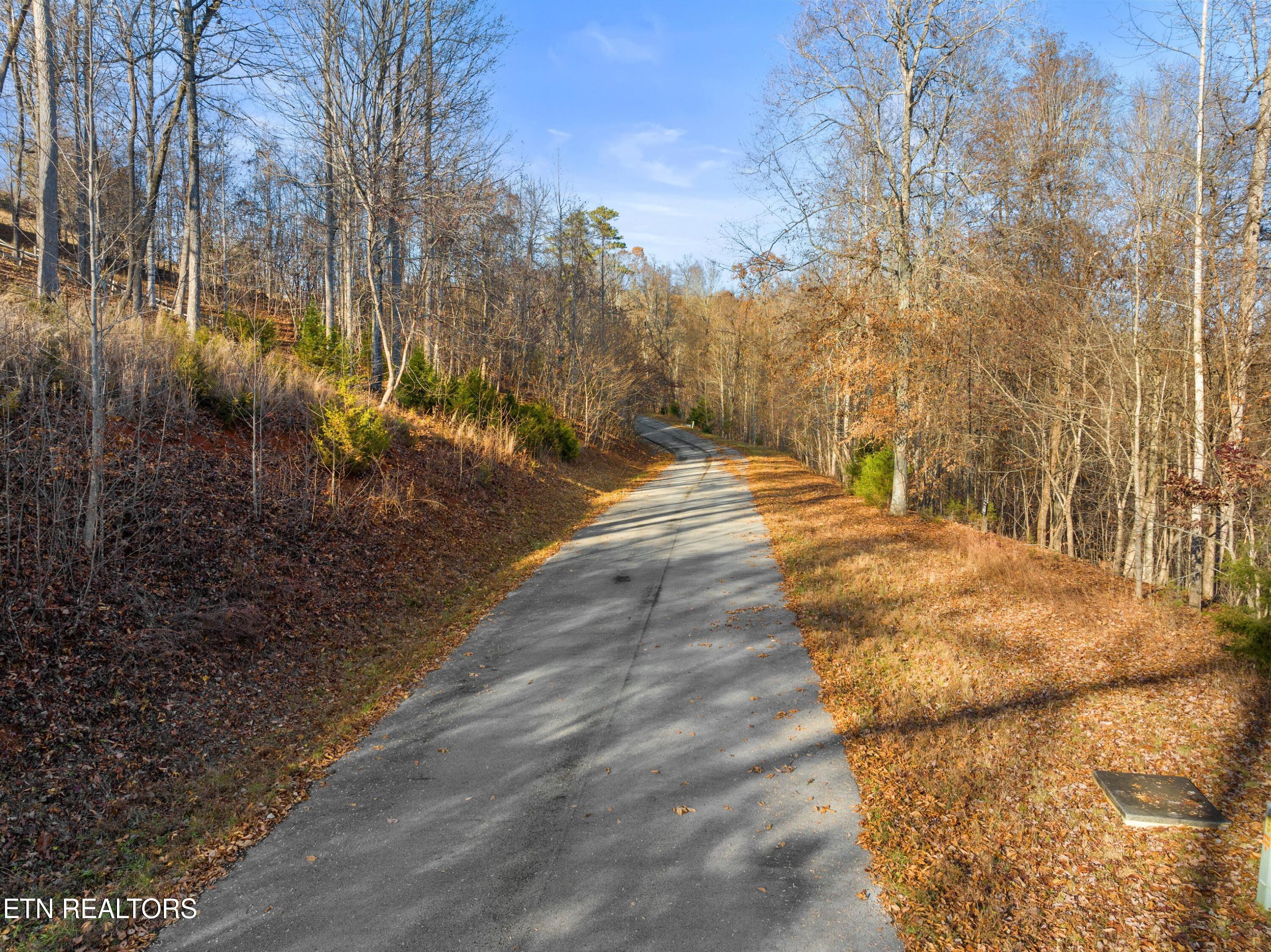 Norris Lake Real Estate - Image# 24