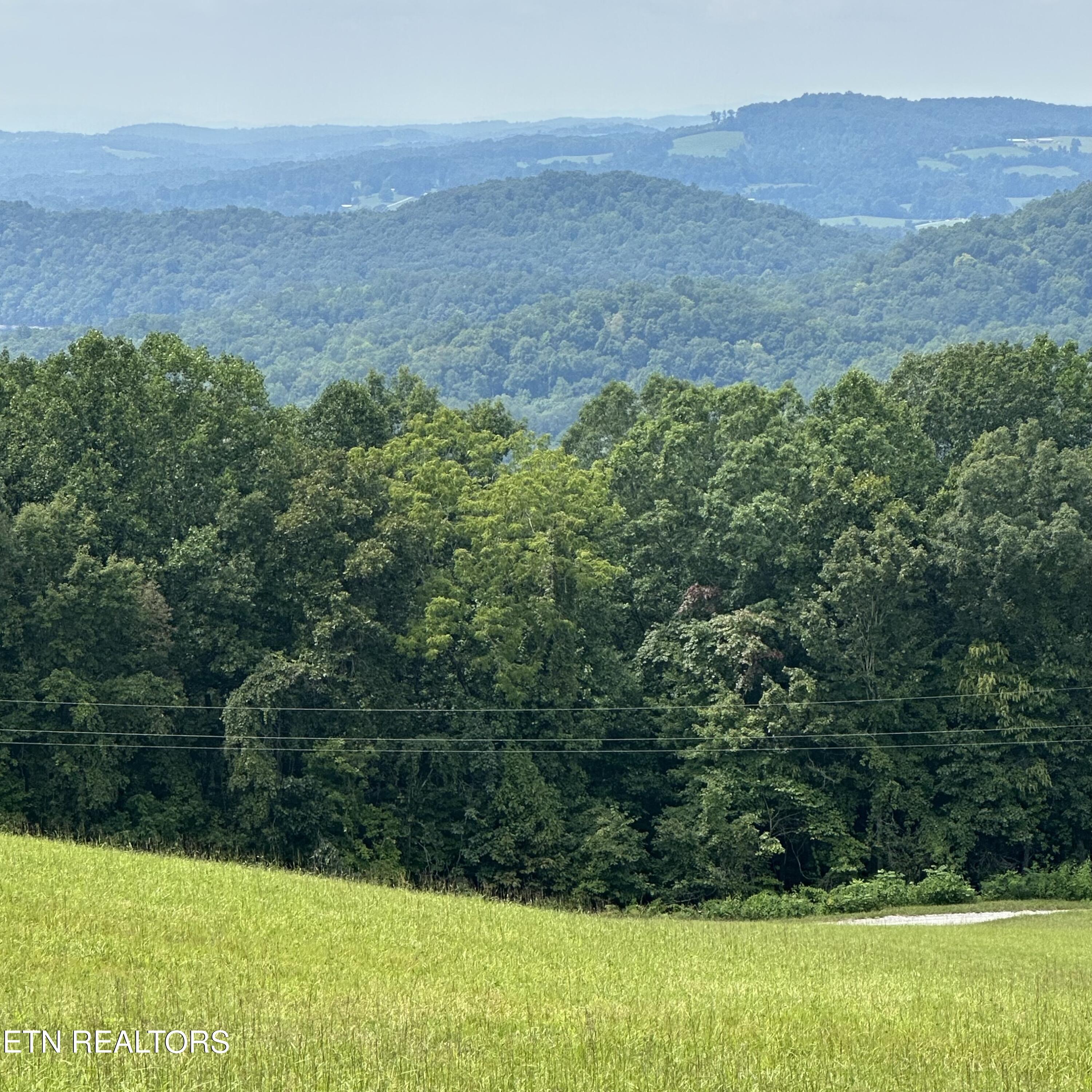 Norris Lake Real Estate - Image# 3