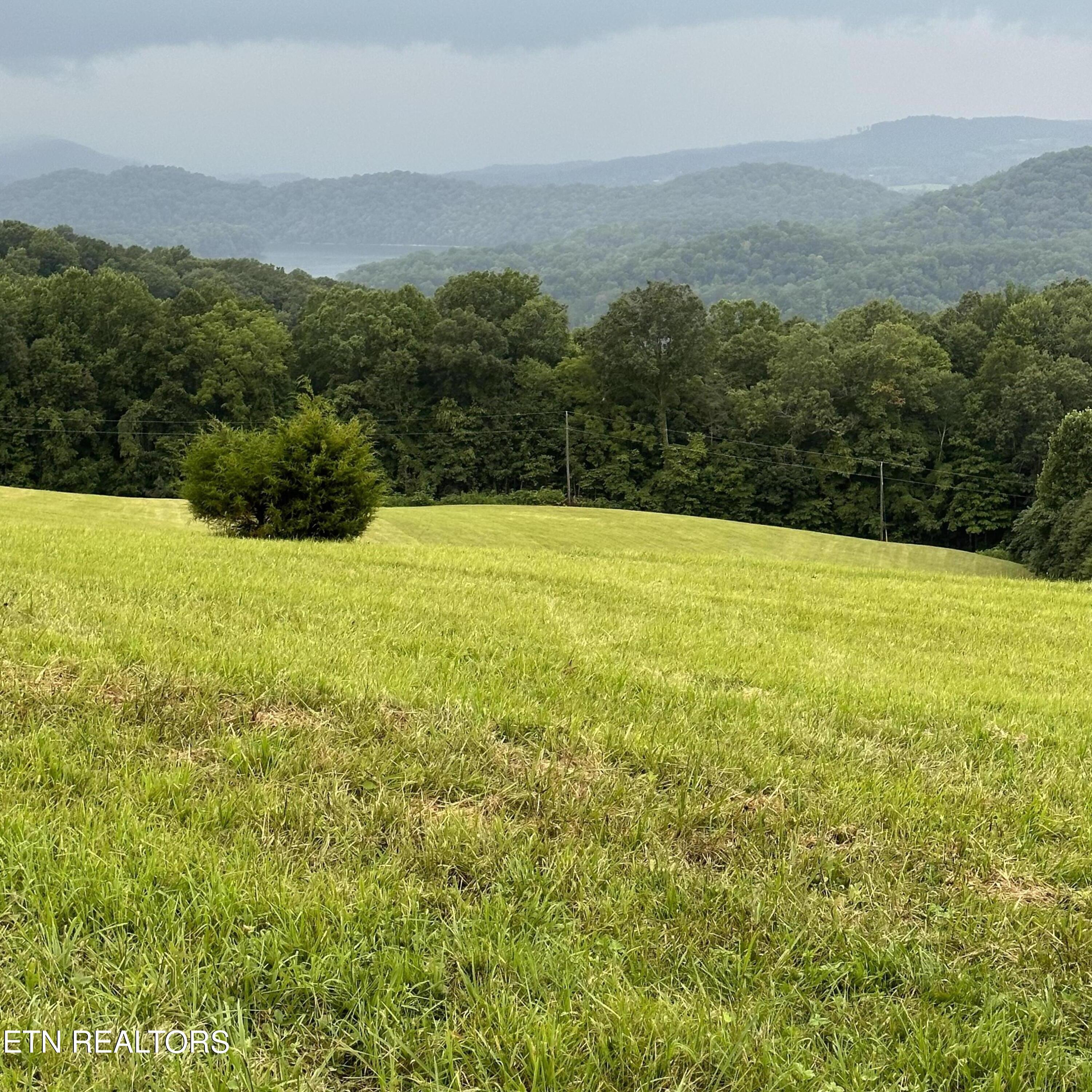 Norris Lake Real Estate - Image# 2