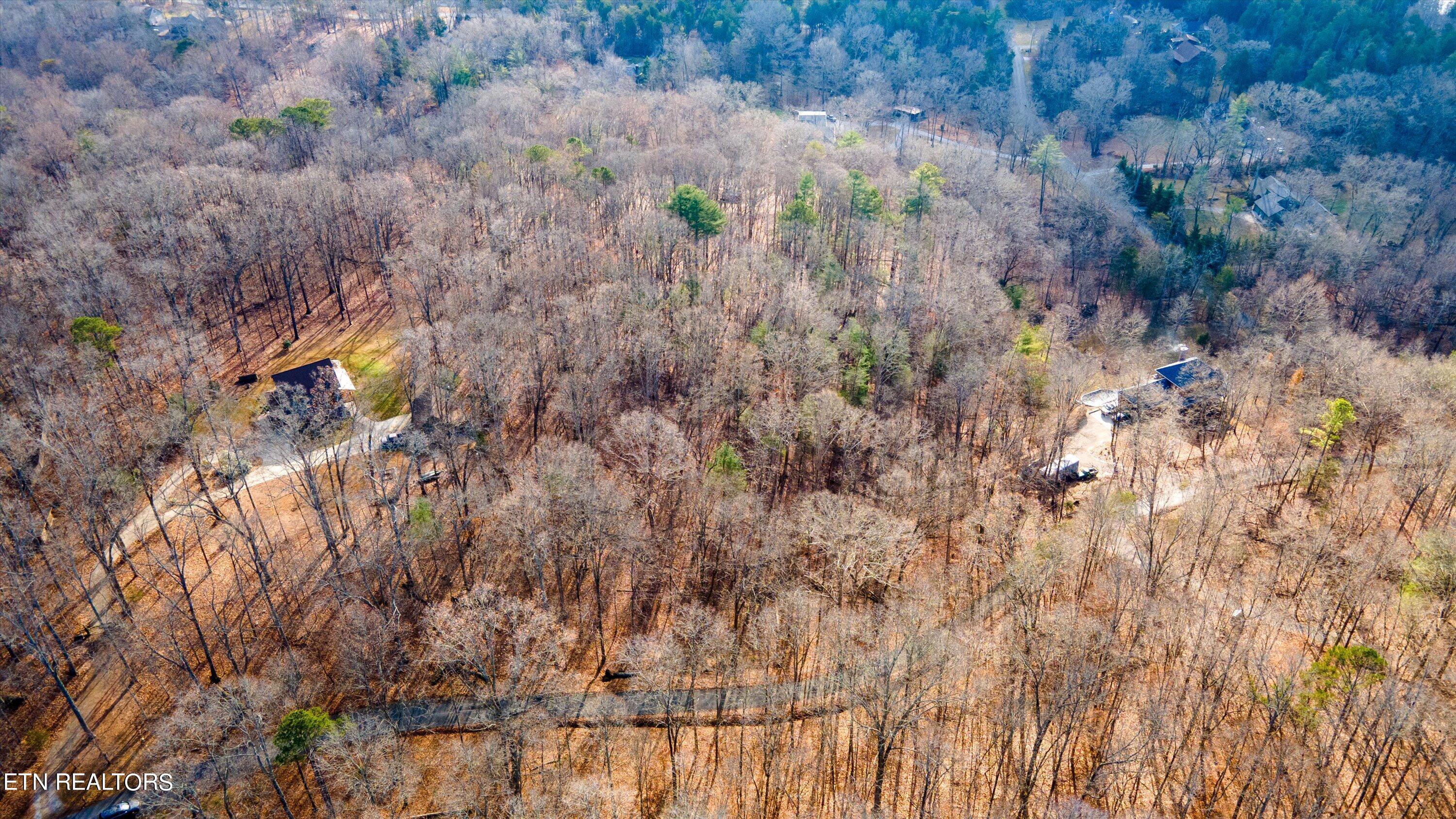 Norris Lake Real Estate - Image# 9