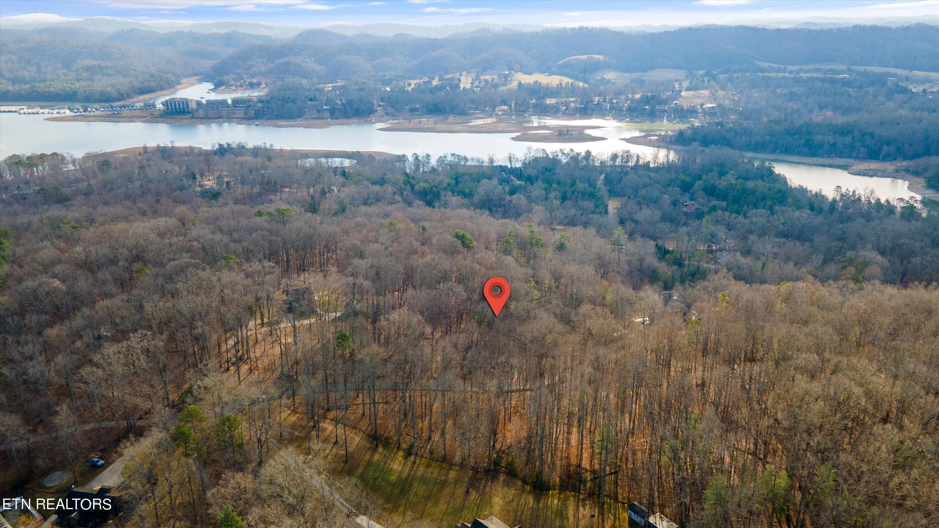 Norris Lake Real Estate - Image# 13