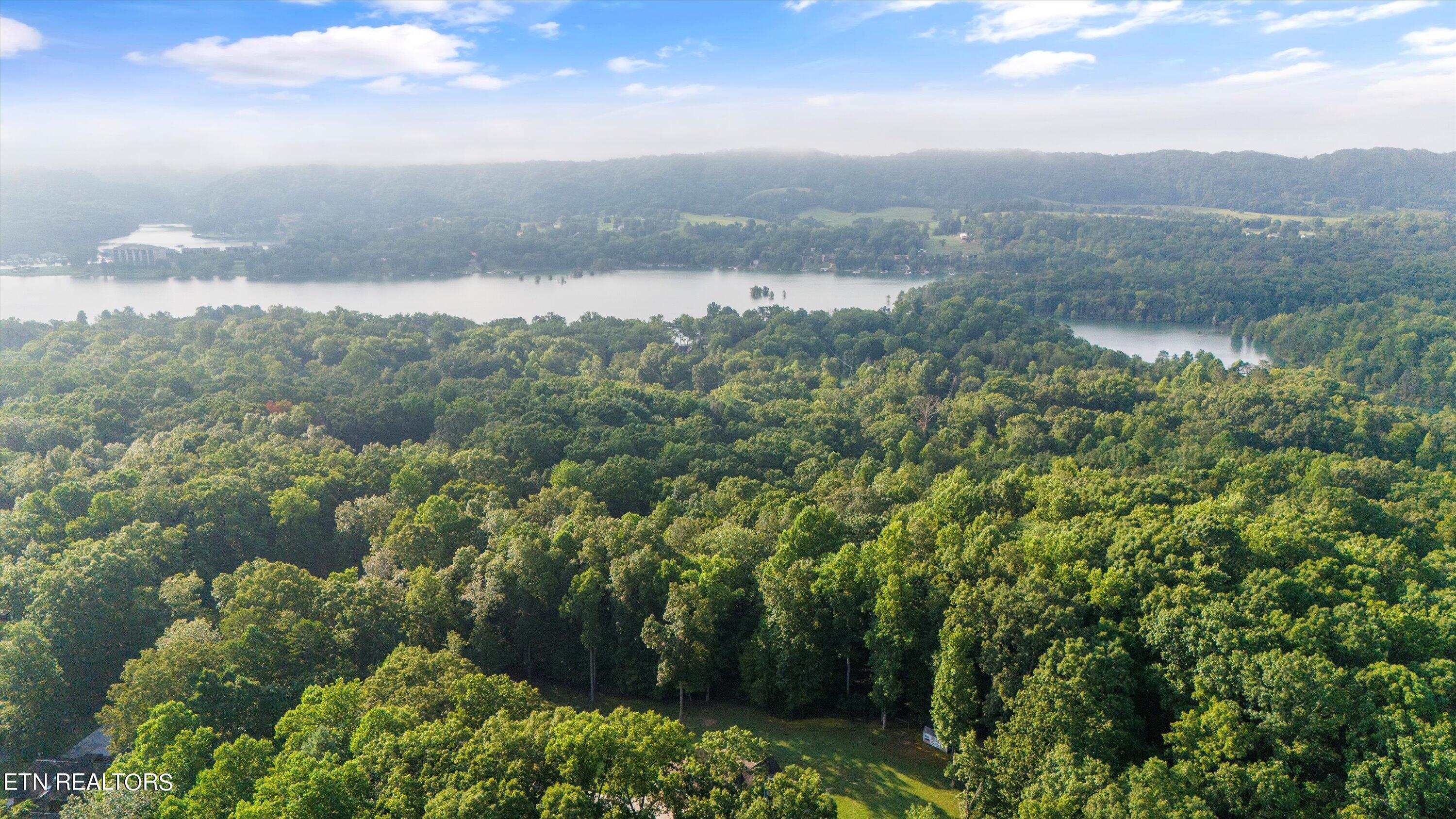 Norris Lake Real Estate - Image# 14